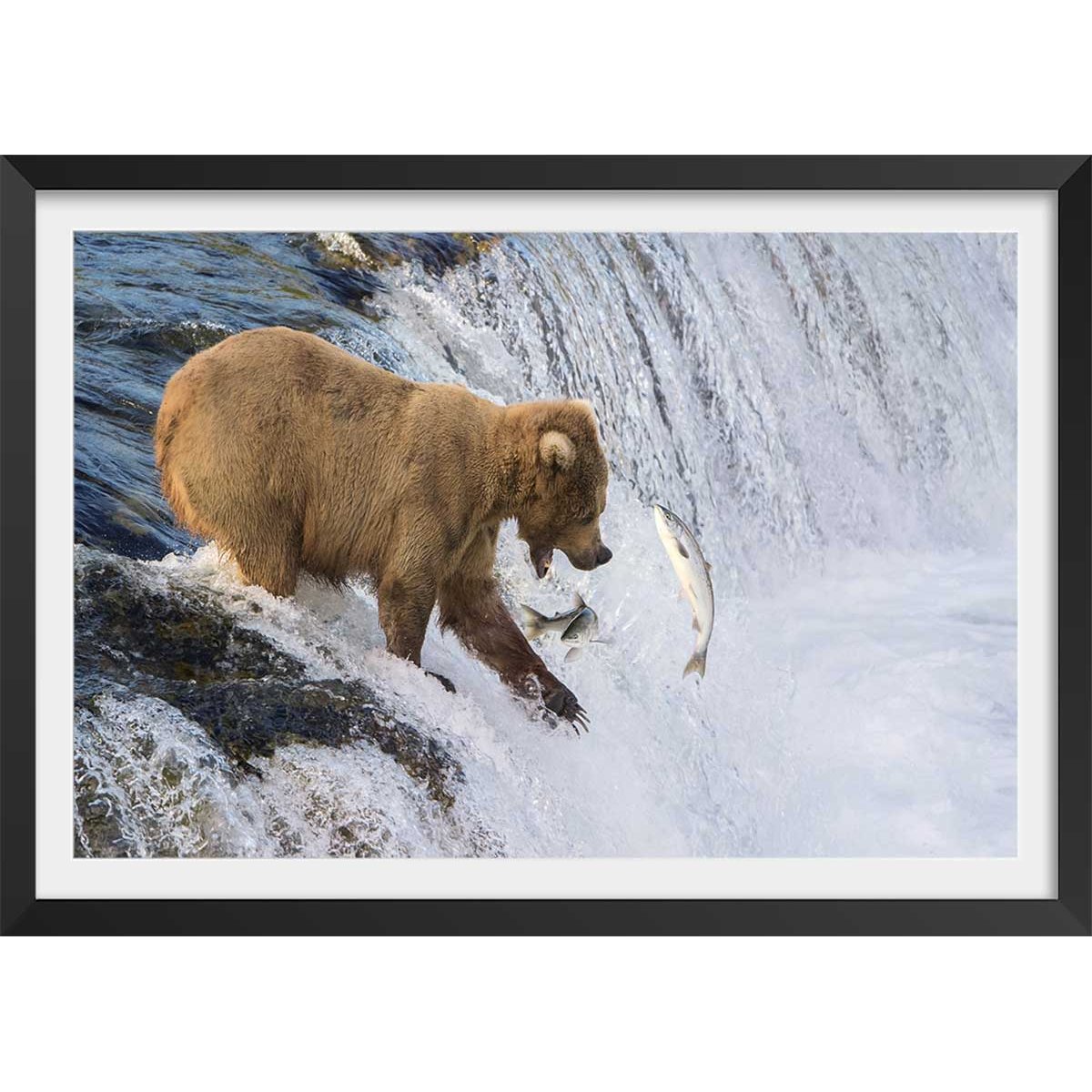 Affiche un ours pêche sur le bord affiche + cadre en bois - noir, HEXOA