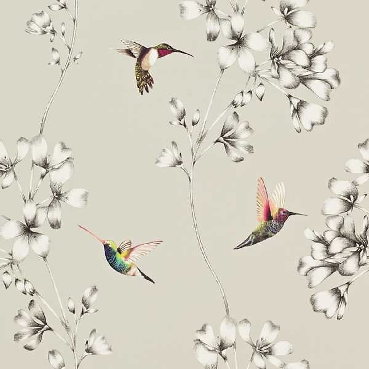 Amazilia Wallpaper silver-coloured, HARLEQUIN