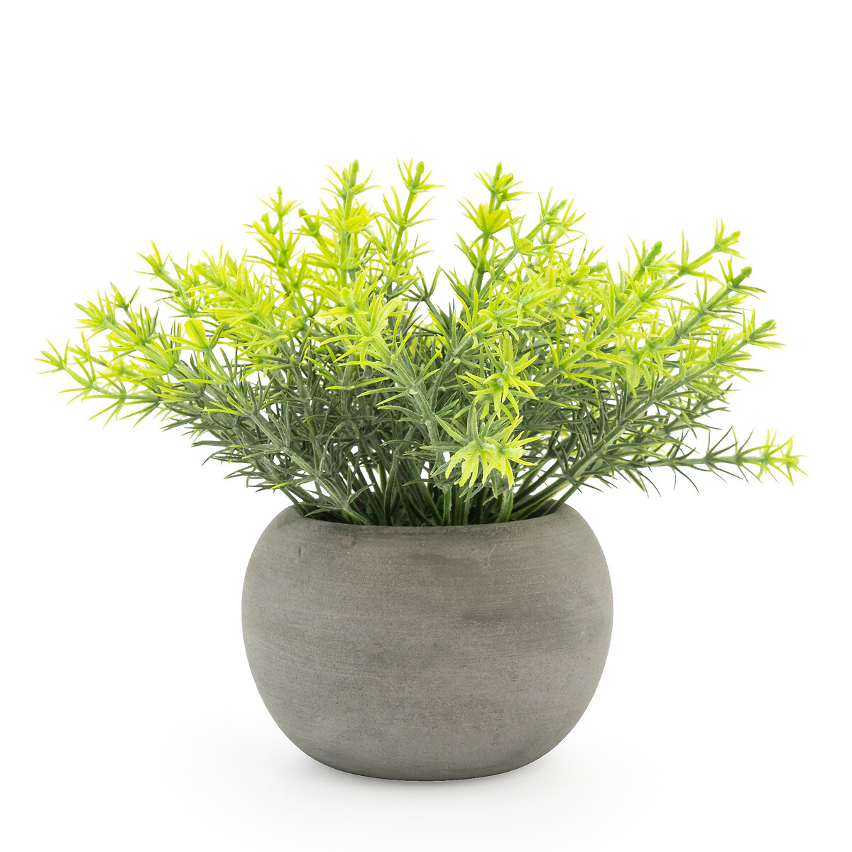 15cm Artificial Mini Rosemary Plant in Pot green, SO'HOME