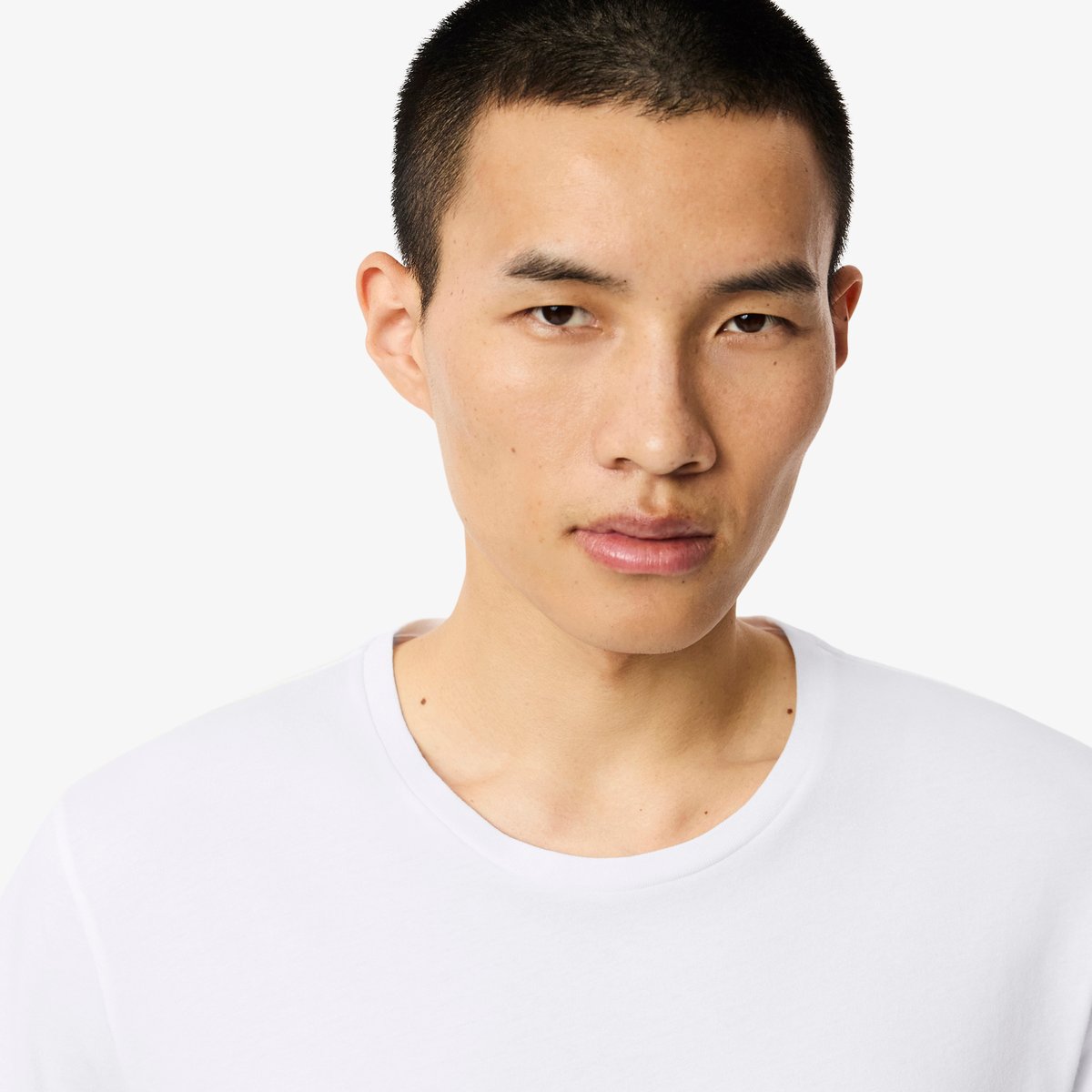 Lot de 3 t-shirts d'intérieur blanc-001, LACOSTE