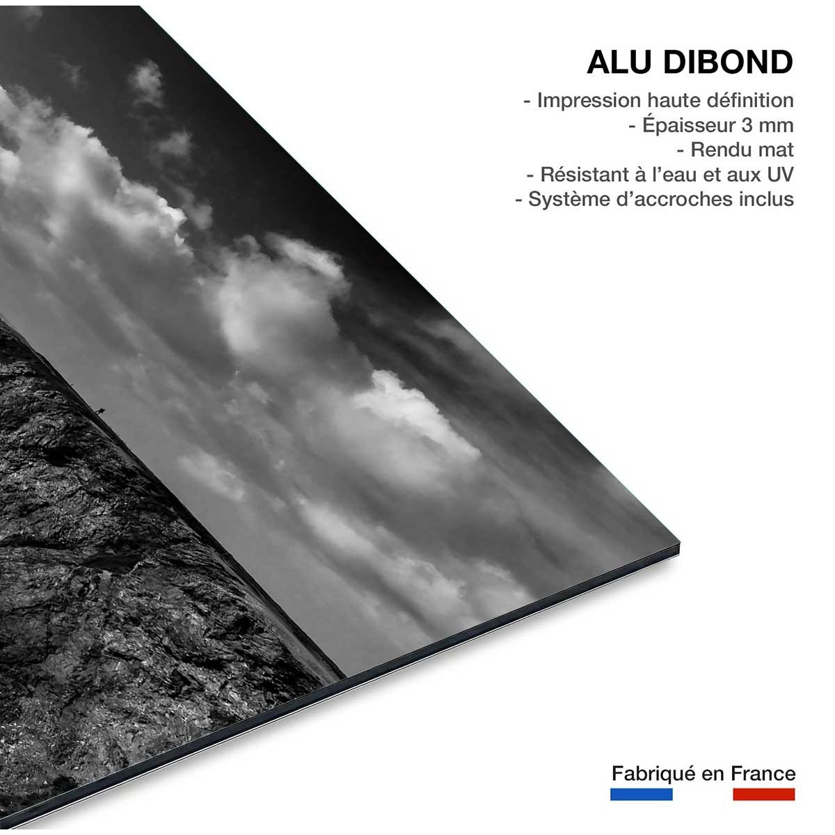 Tableau la promenade de port coton tableau alu dibond, HEXOA