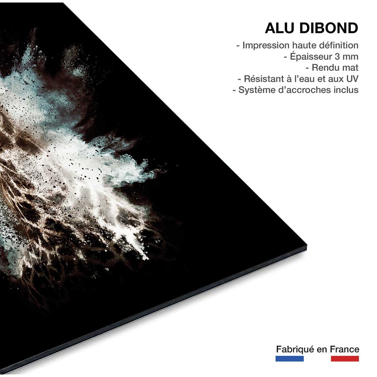 Tableau wild explosion girafe tableau alu dibond, HEXOA