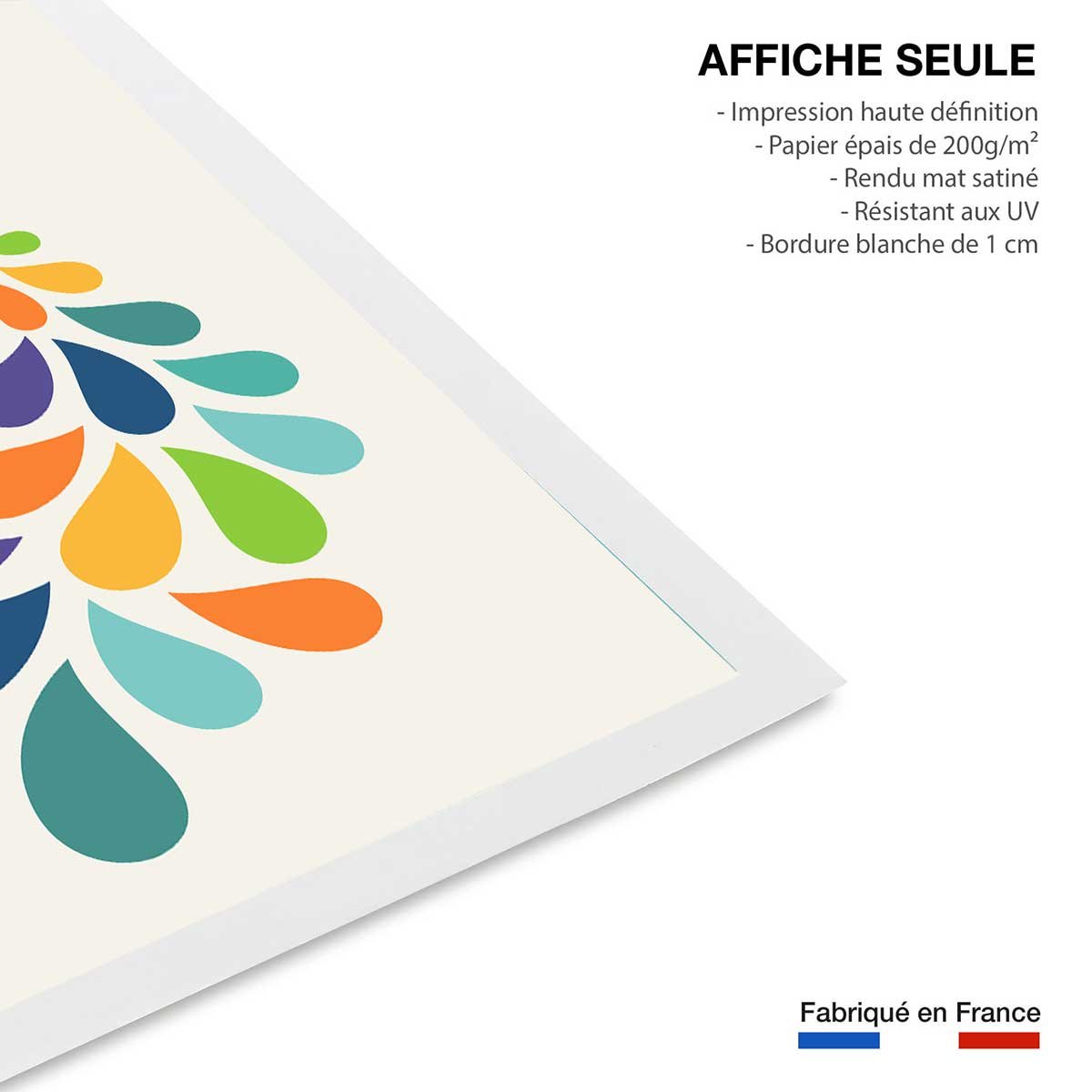 Affiche  paon coloré affiche seule, HEXOA