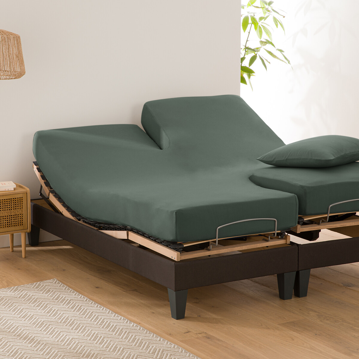 Scenario Plain 100% Organic Cotton Fitted Sheet For Articulated Bed eucalyptus, LA REDOUTE INTERIEURS