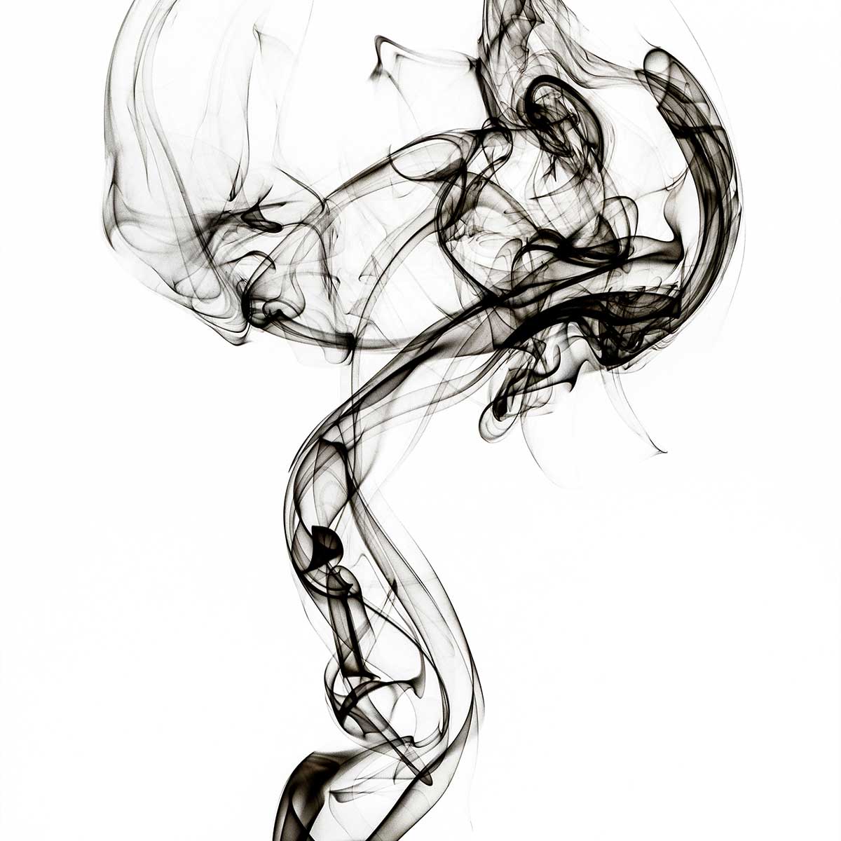 Tableau black smoke medusa tableau alu dibond, HEXOA