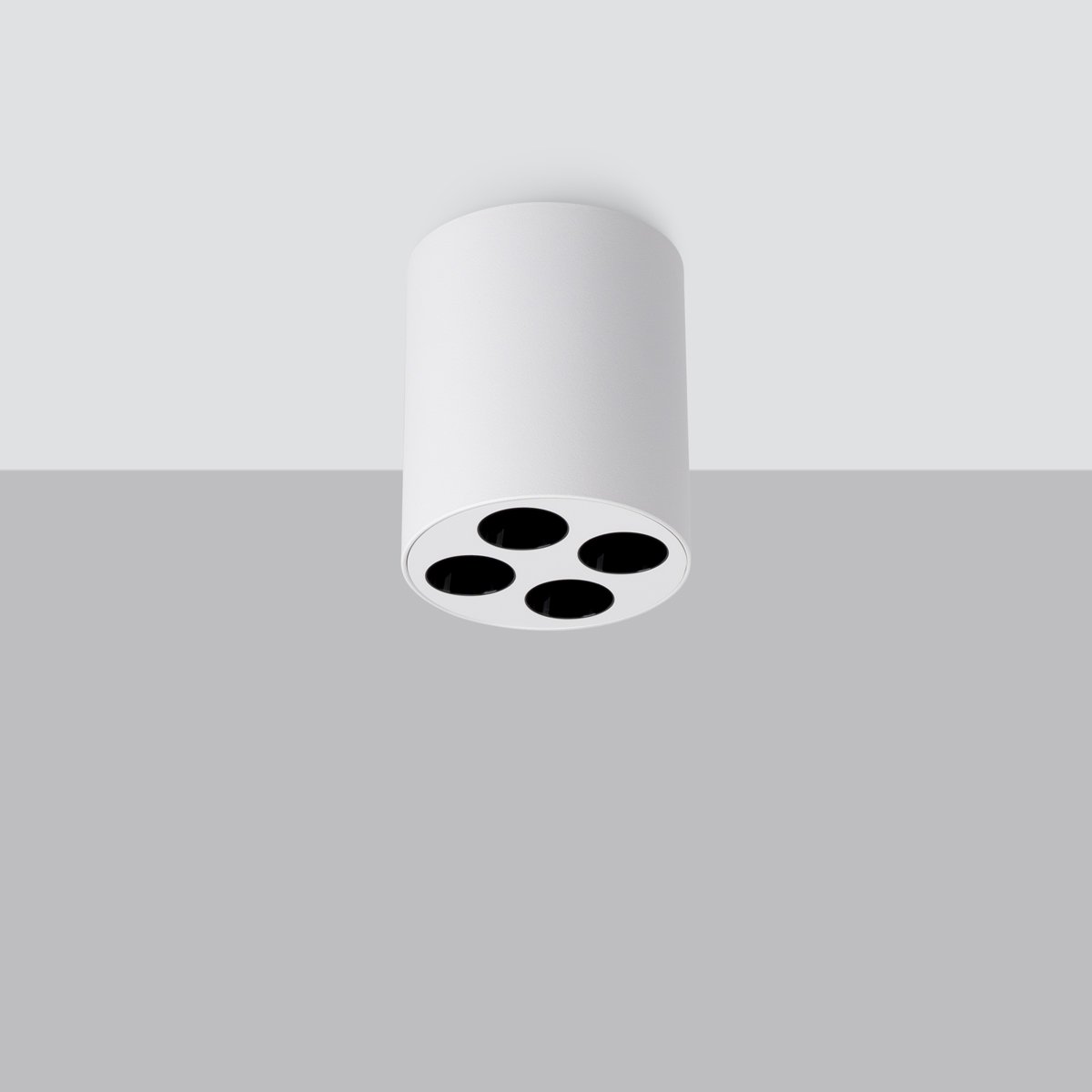 Plafonnier Aluminium Blanc LED 4 Zoe blanc, EDEN