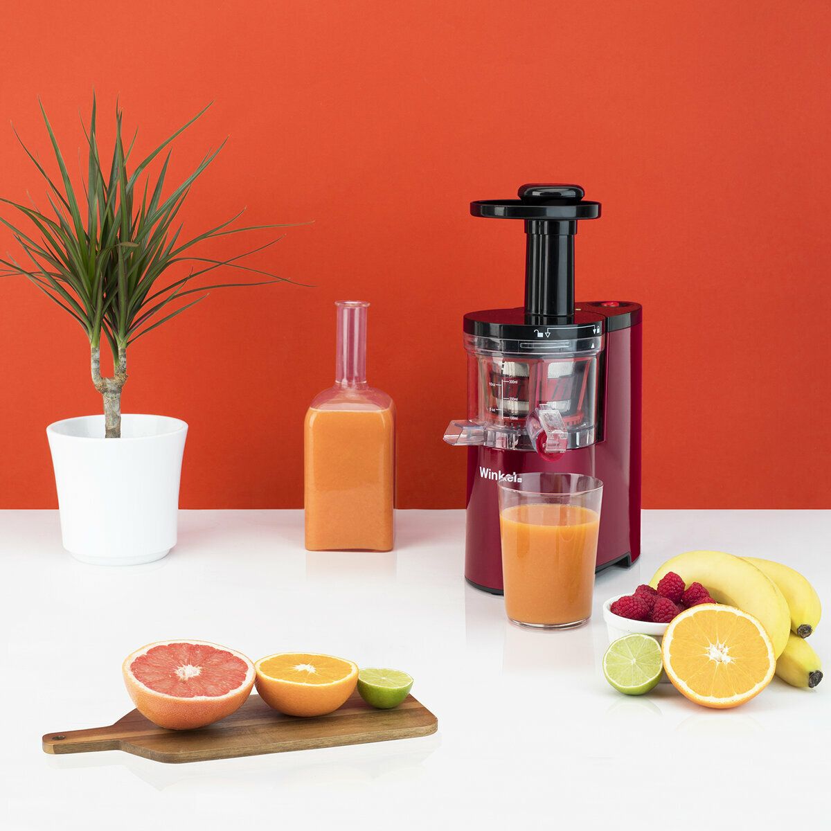 Extracteur de jus - SX24 rouge, WINKEL