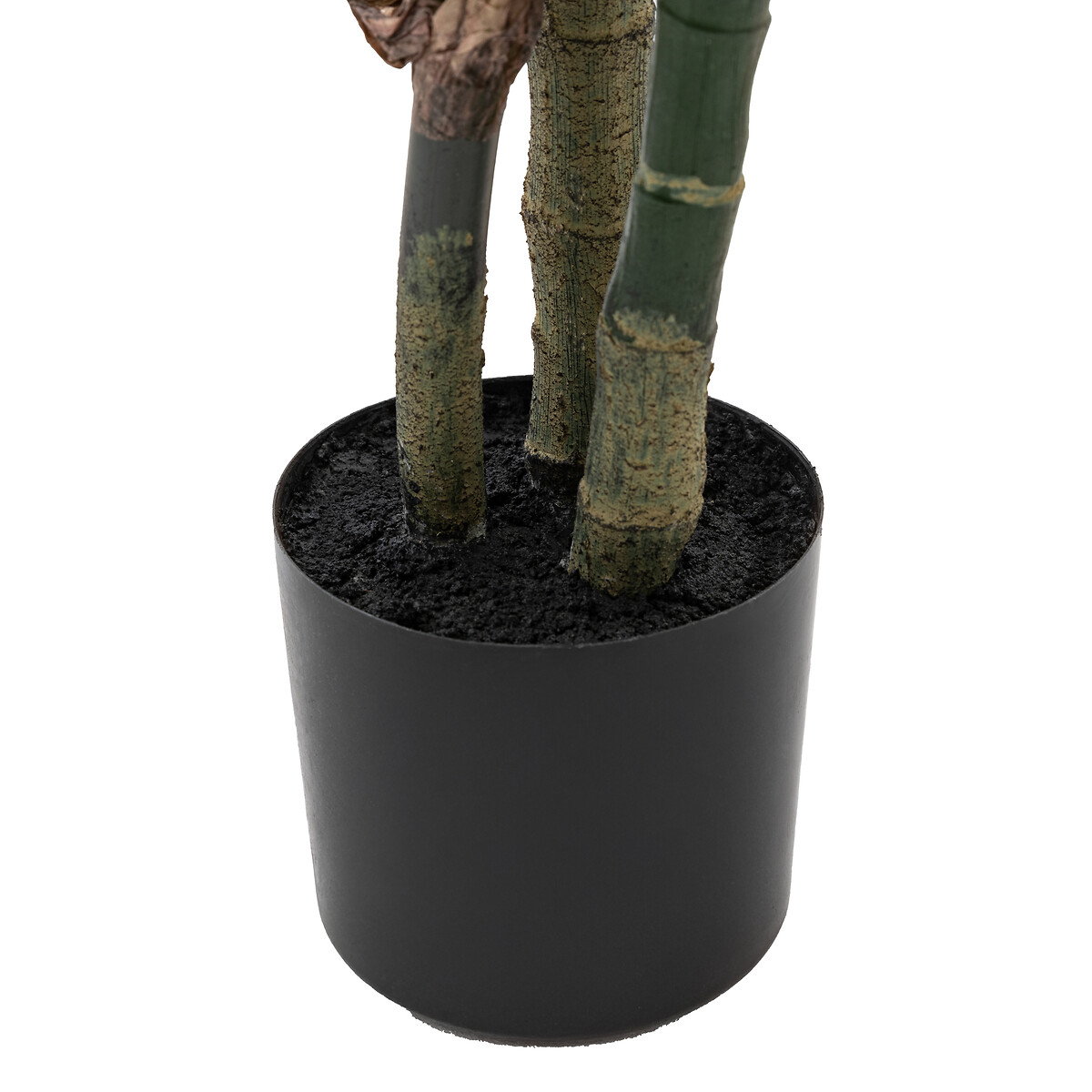 4ft Potted Calathea Leaf Tree green, ÉDITÉ