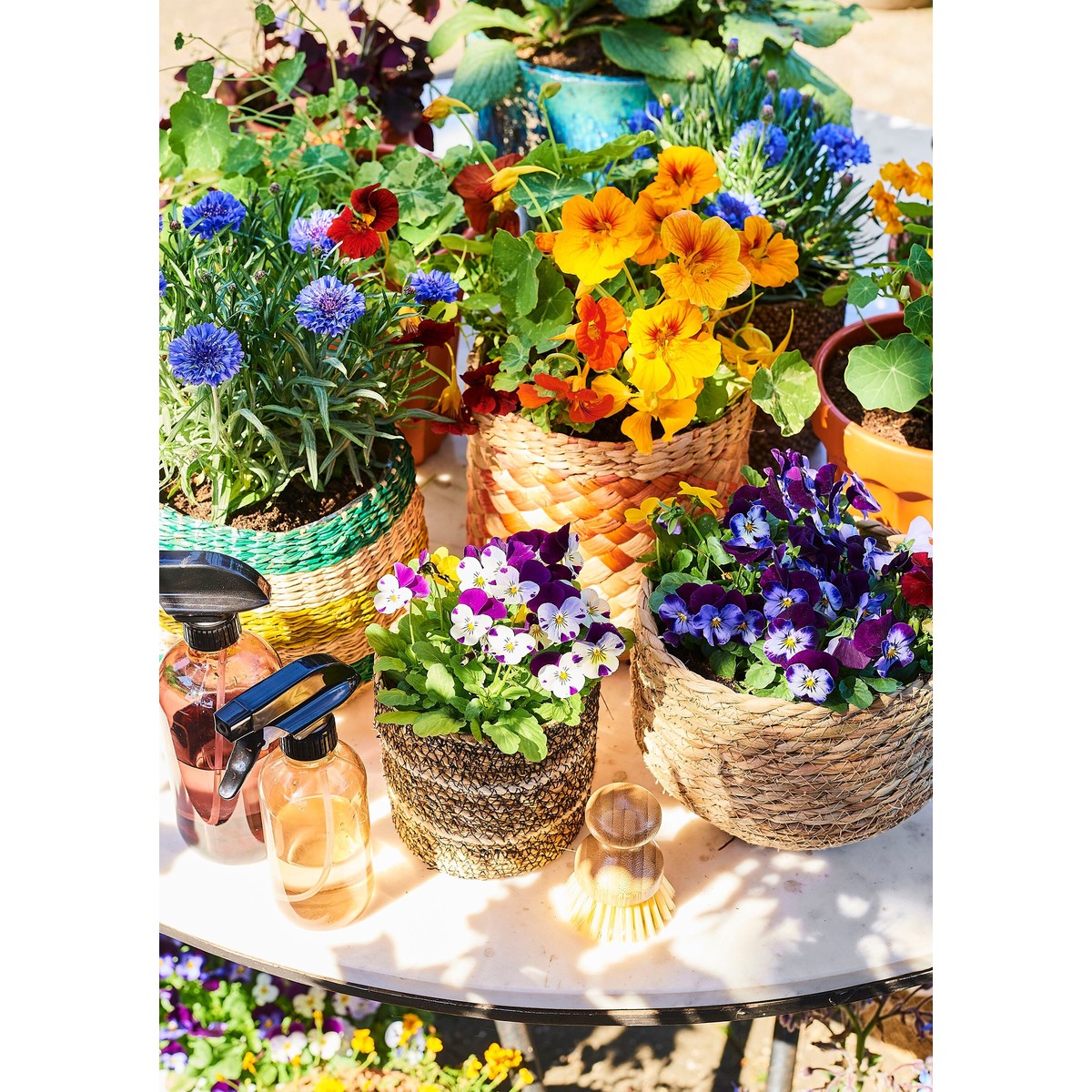 Panier à plantes en jonc de mer tressé Ø22 cm JORCK marron clair, MICA DECORATIONS