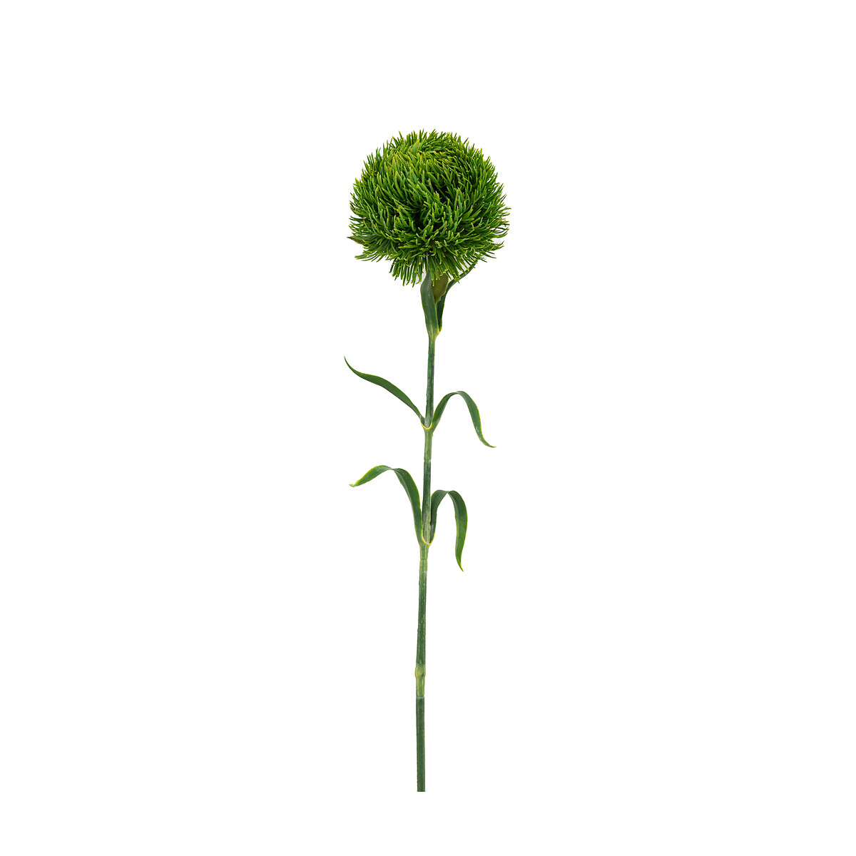 12pk 54cm Statement Bloom Faux Stems green, ÉDITÉ