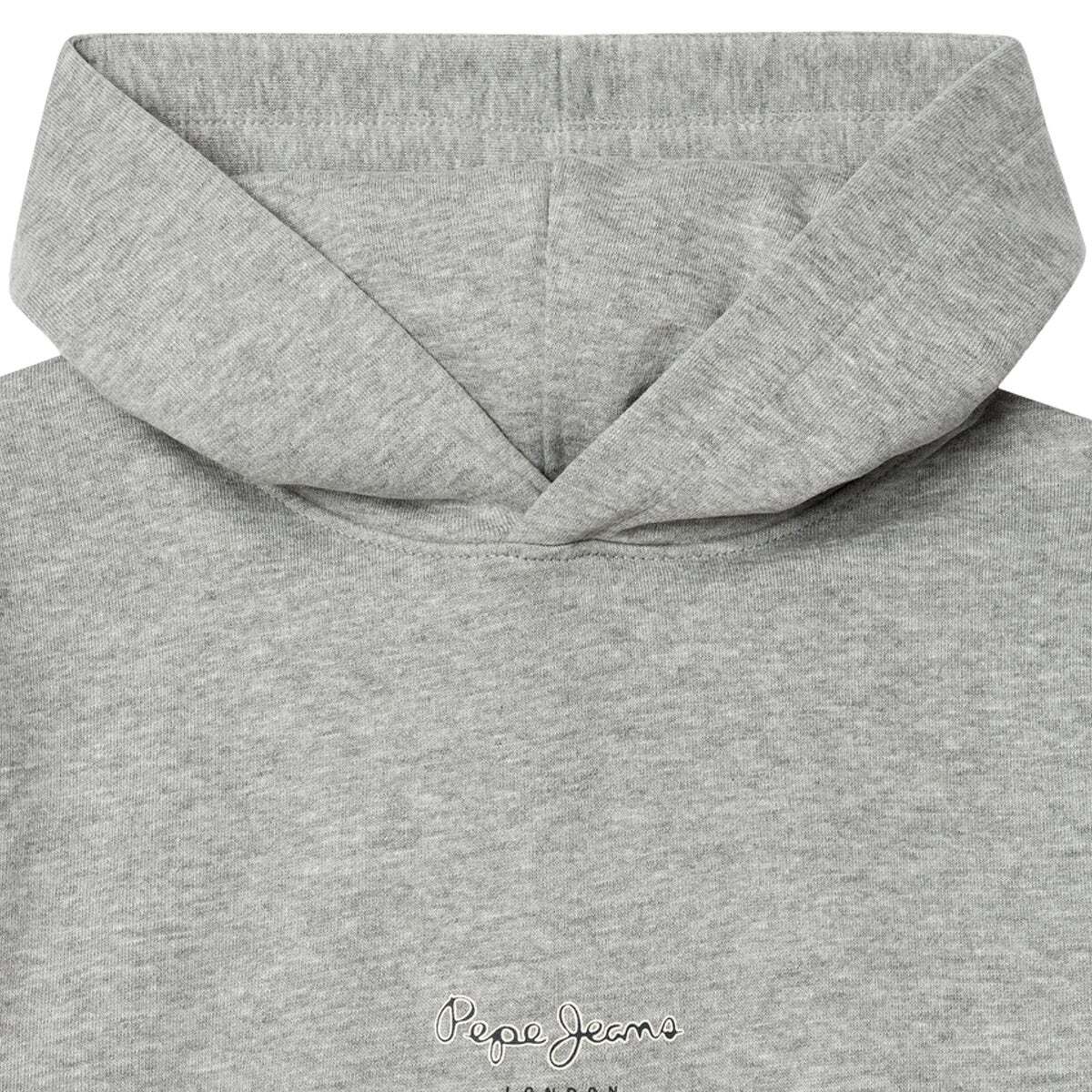Sweat À Capuche Coupe Regular gris chine, PEPE JEANS