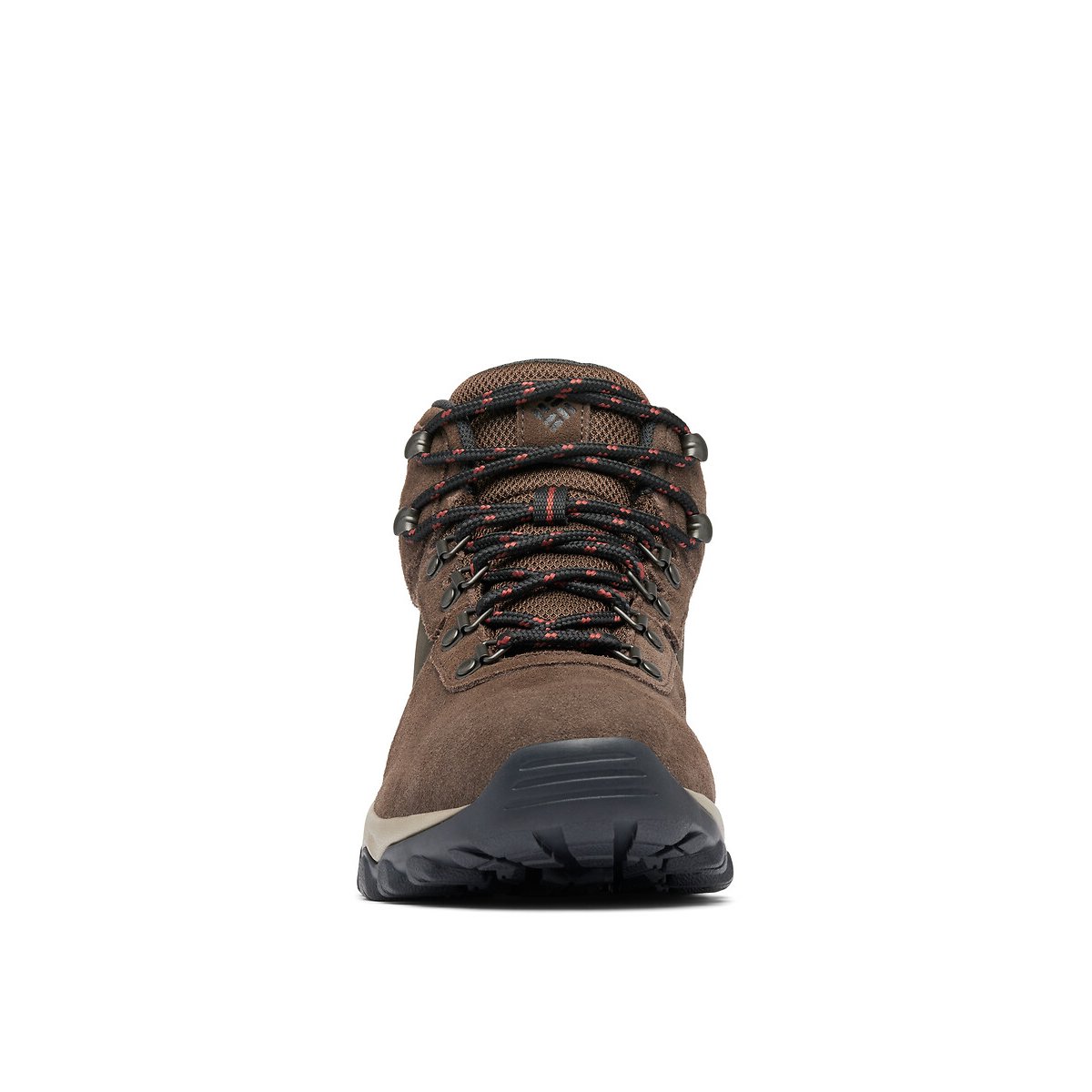 Newton Ridge™ Plus II Suede Hiking Shoes dark brown, COLUMBIA