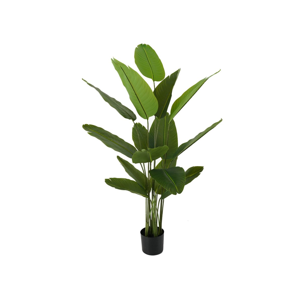 Plante Artificielle Plastique CANNA vert, PRESENT TIME