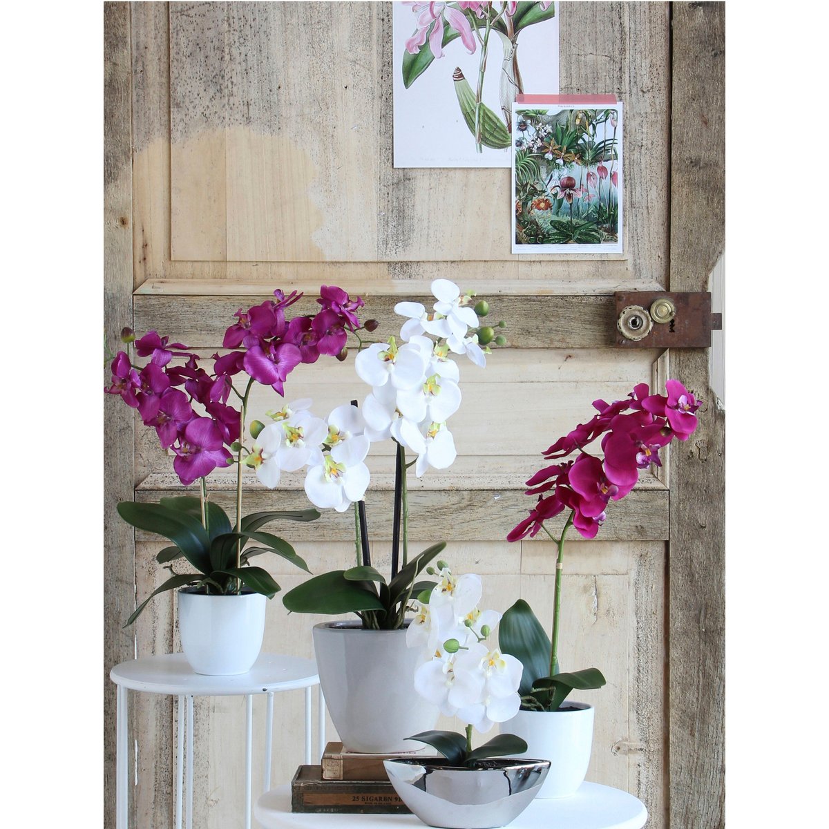 Plante artificielle PHALAENOPSIS violet, MICA DECORATIONS