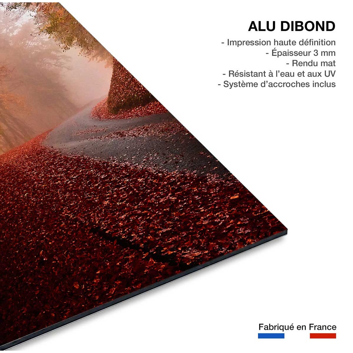 Tableau nature explosion automnale tableau alu dibond, HEXOA