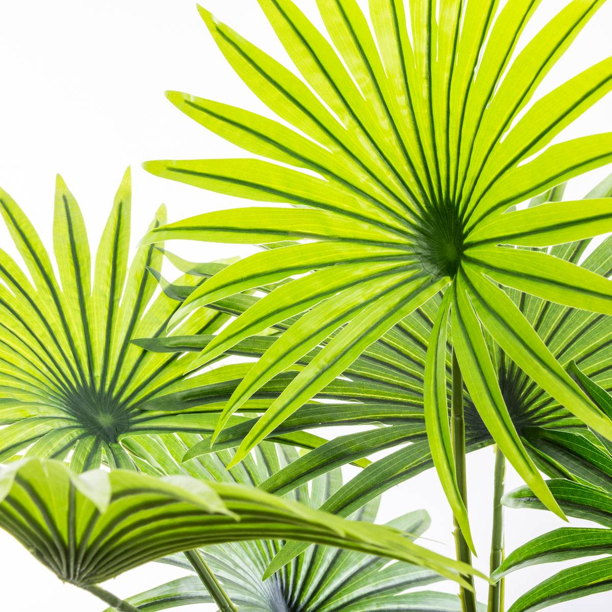 Palmier artificiel vert, ATMOSPHERA