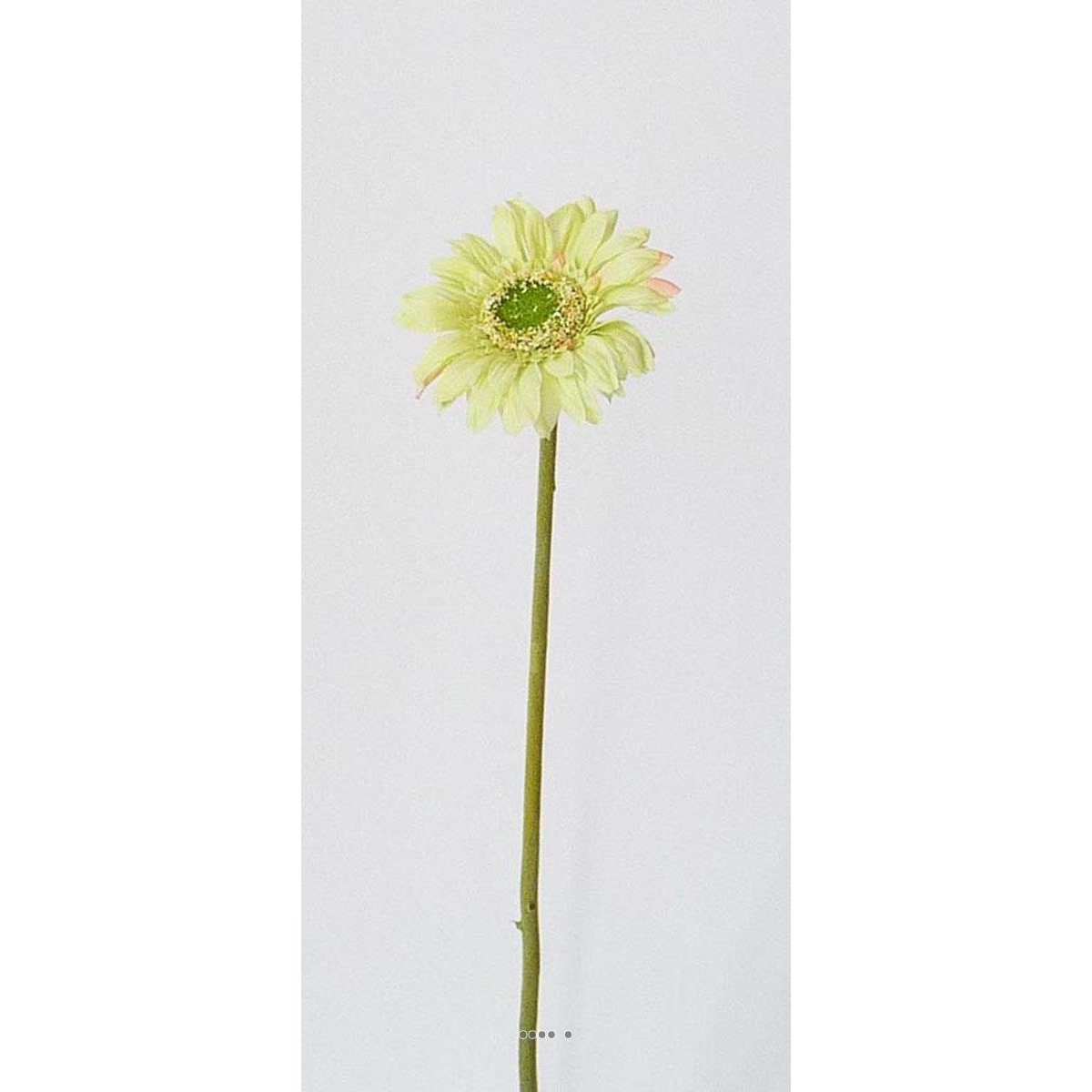 Gerbera artificiel H 48 cm D 8 cm superbe Crè crème vert, ARTIFICIELLES