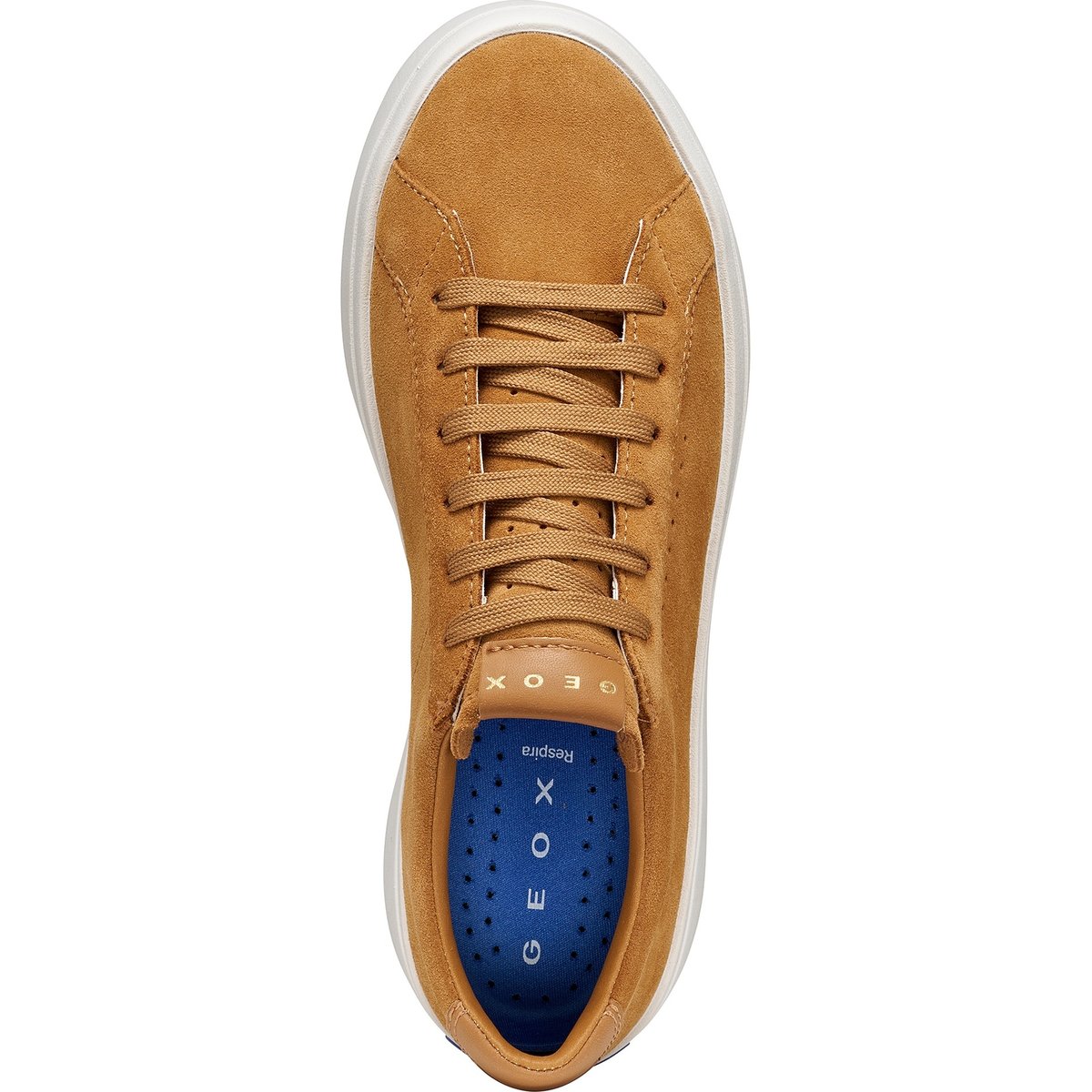 Baskets D GXCP-03 cognac, GEOX