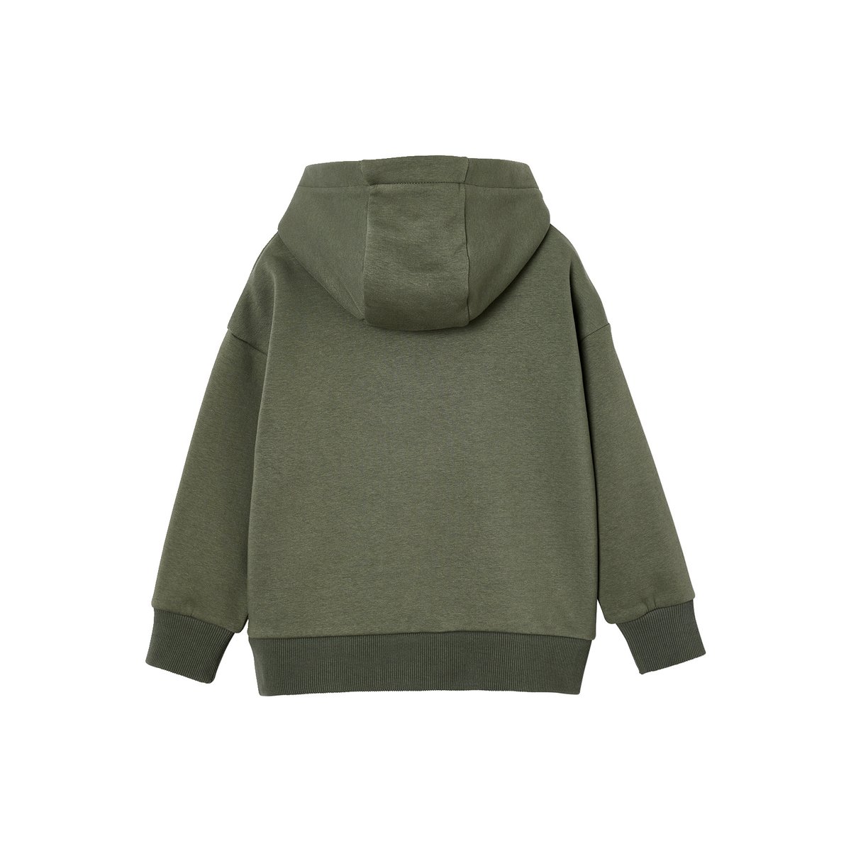 Sweat à capuche motif poitrine vert sauge, VERTBAUDET