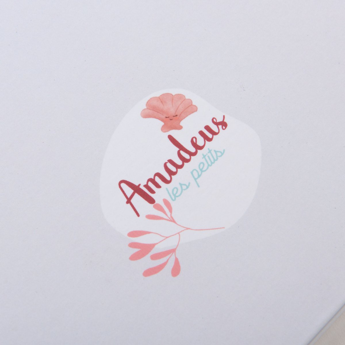Album de classe Venus rose, AMADEUS