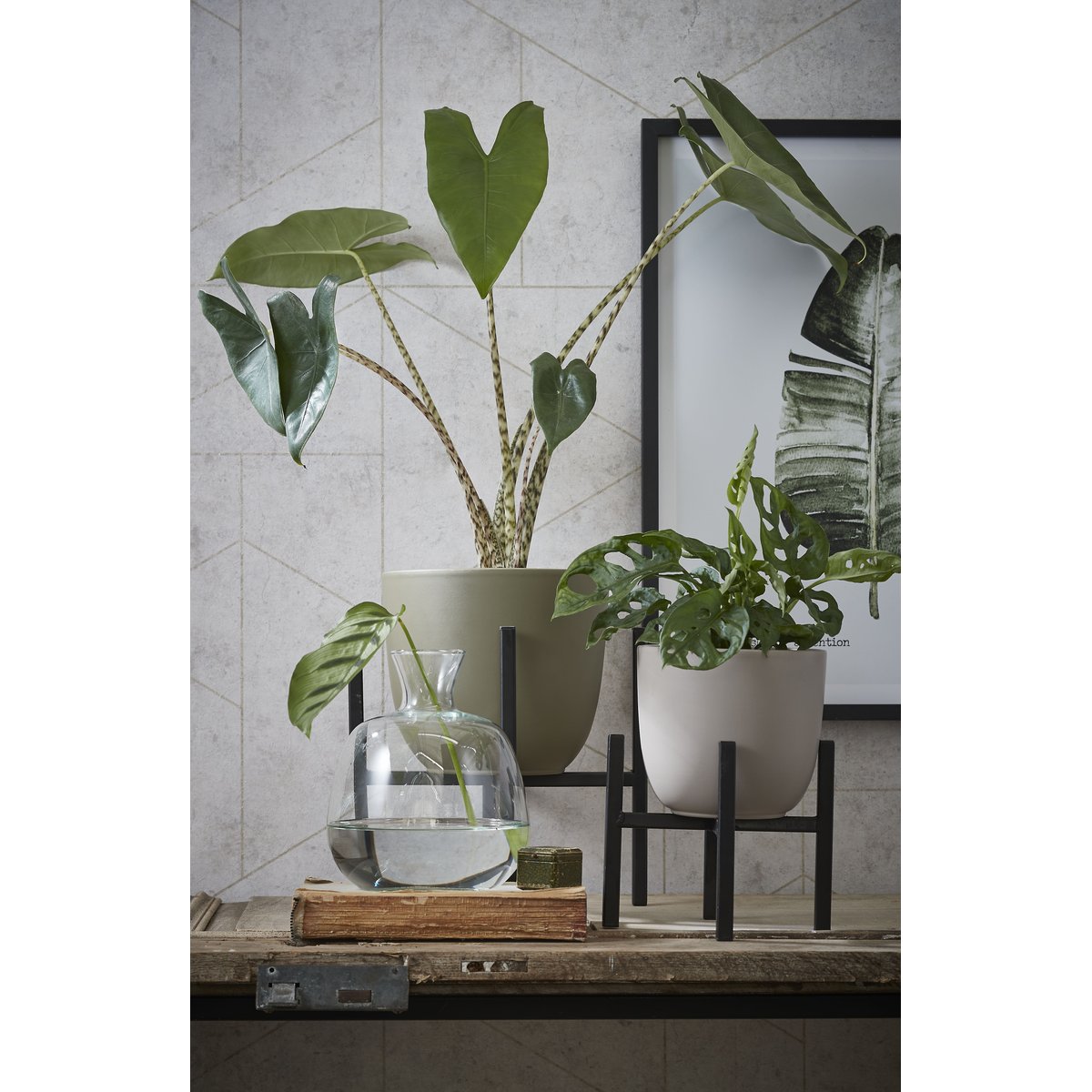 Support pour plantes H25 cm ASCOT noir, MICA DECORATIONS