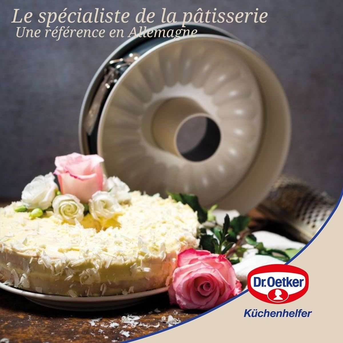 Lot de 2 moules à gâteaux 28/28 cm en acier BACK-TREND blanc, DR OETKER