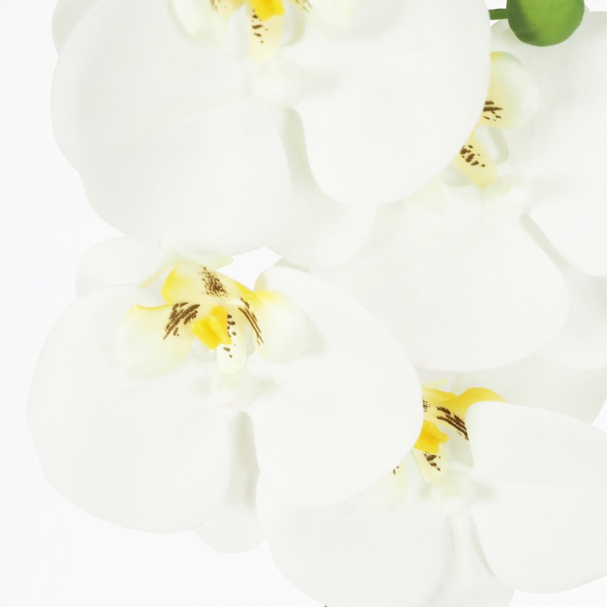 Orchidée artificielle blanche 35cm autres, LIGNE DECO