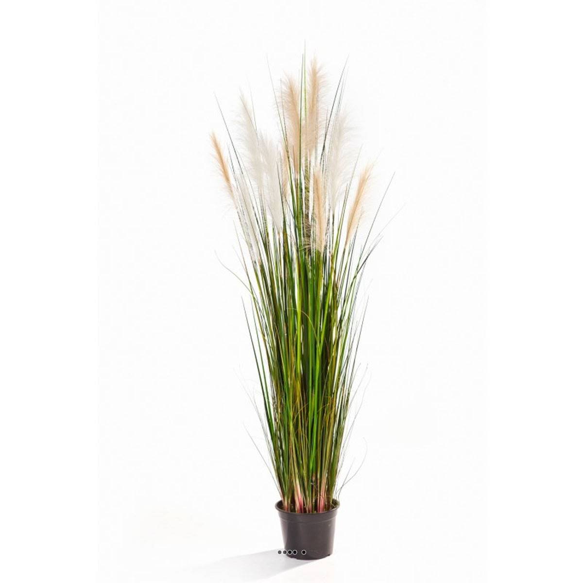 Graminee artificielle creme H 180 cm vert, ARTIFICIELLES