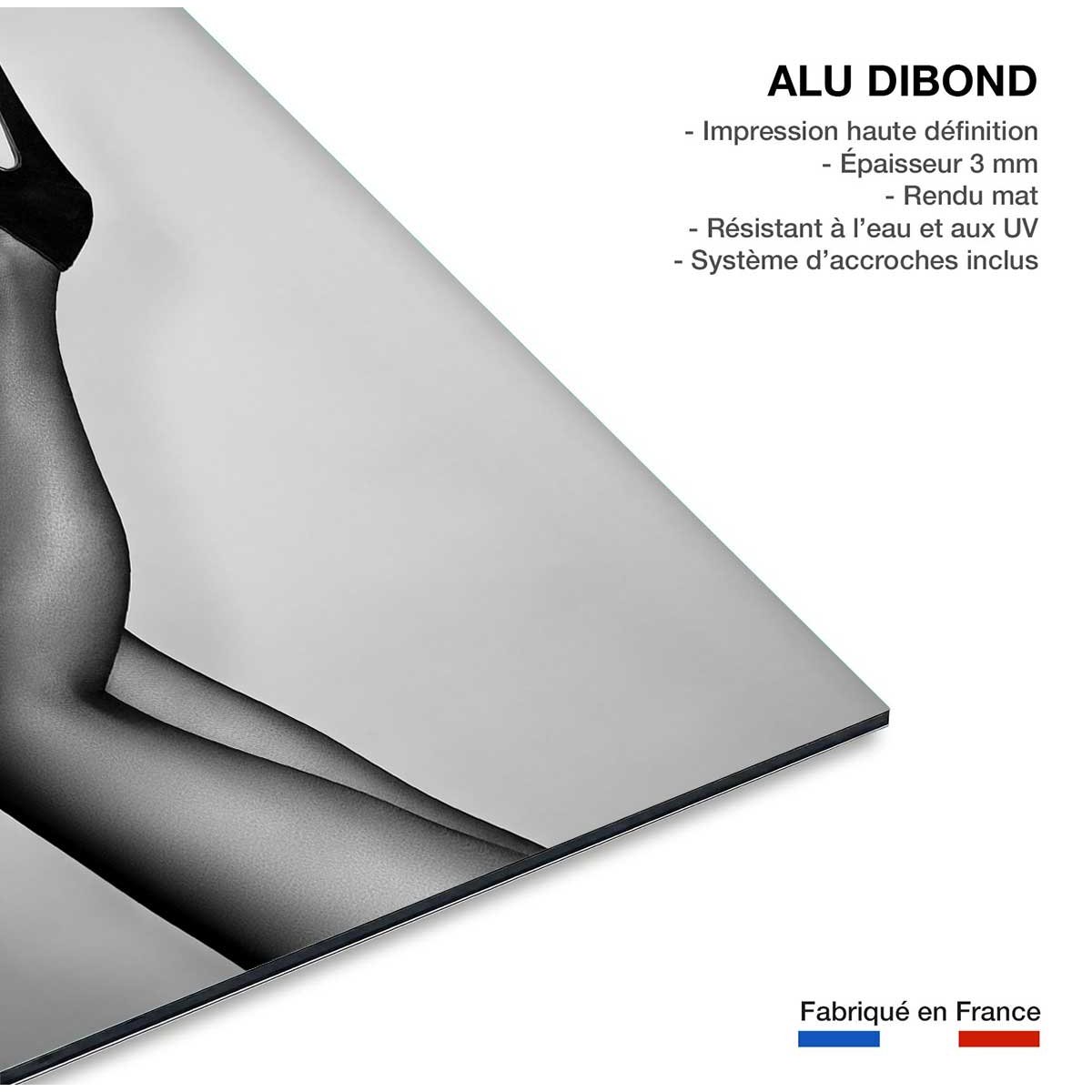 Tableau contemporain Talons de velours tableau alu dibond, HEXOA