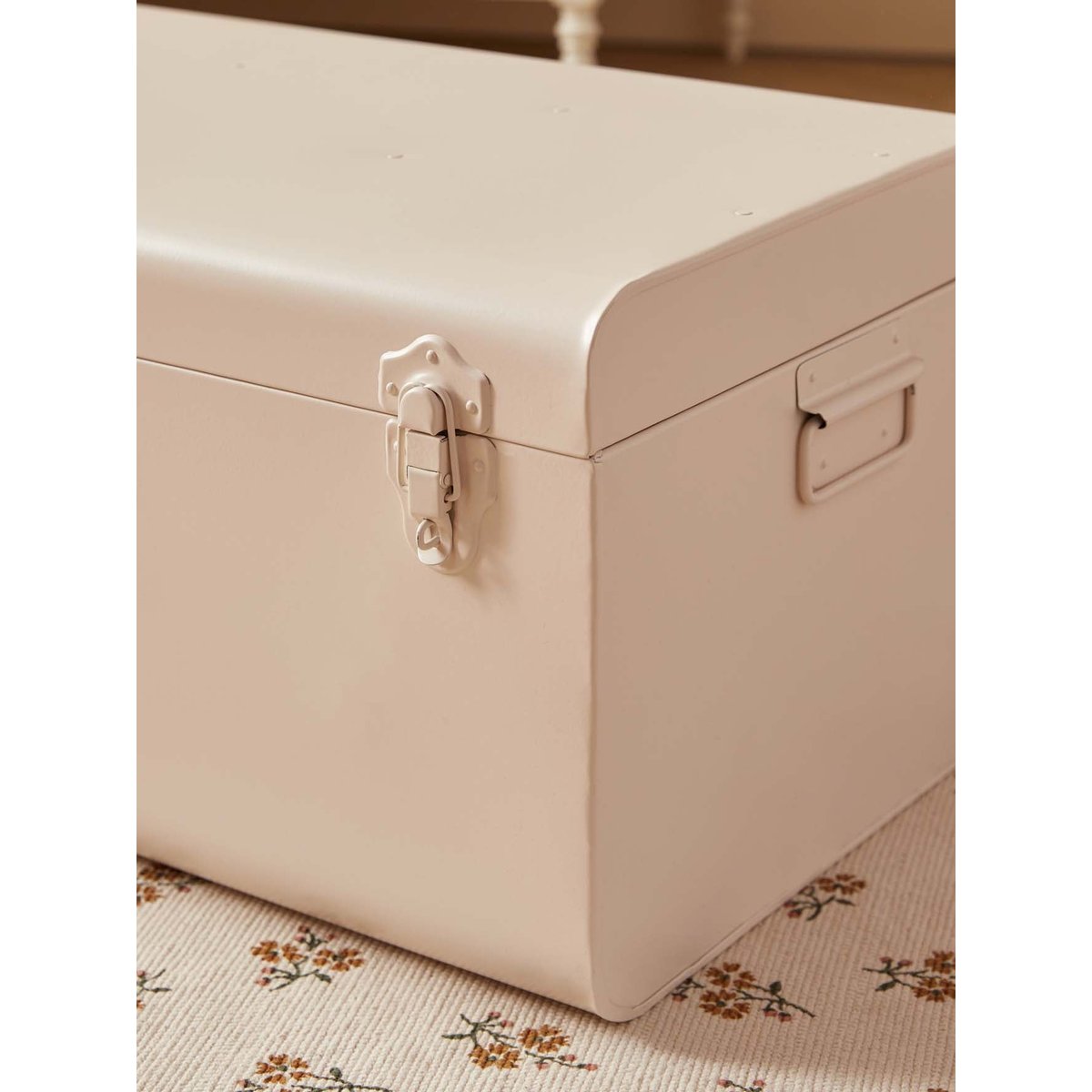 Coffre de rangement en métal nude, CYRILLUS