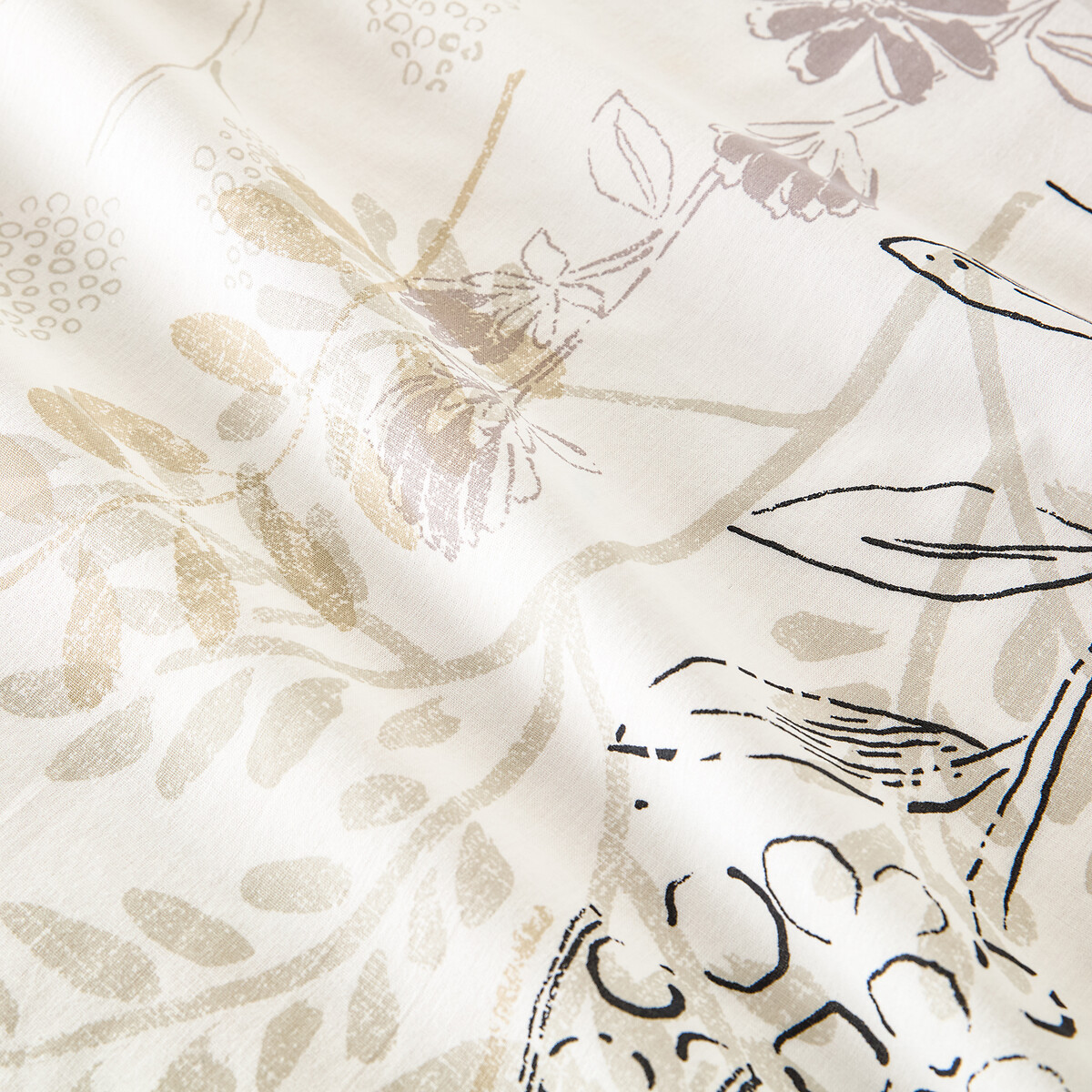 Drap plat coton, Romarin imprimé fond blanc, LA REDOUTE INTERIEURS