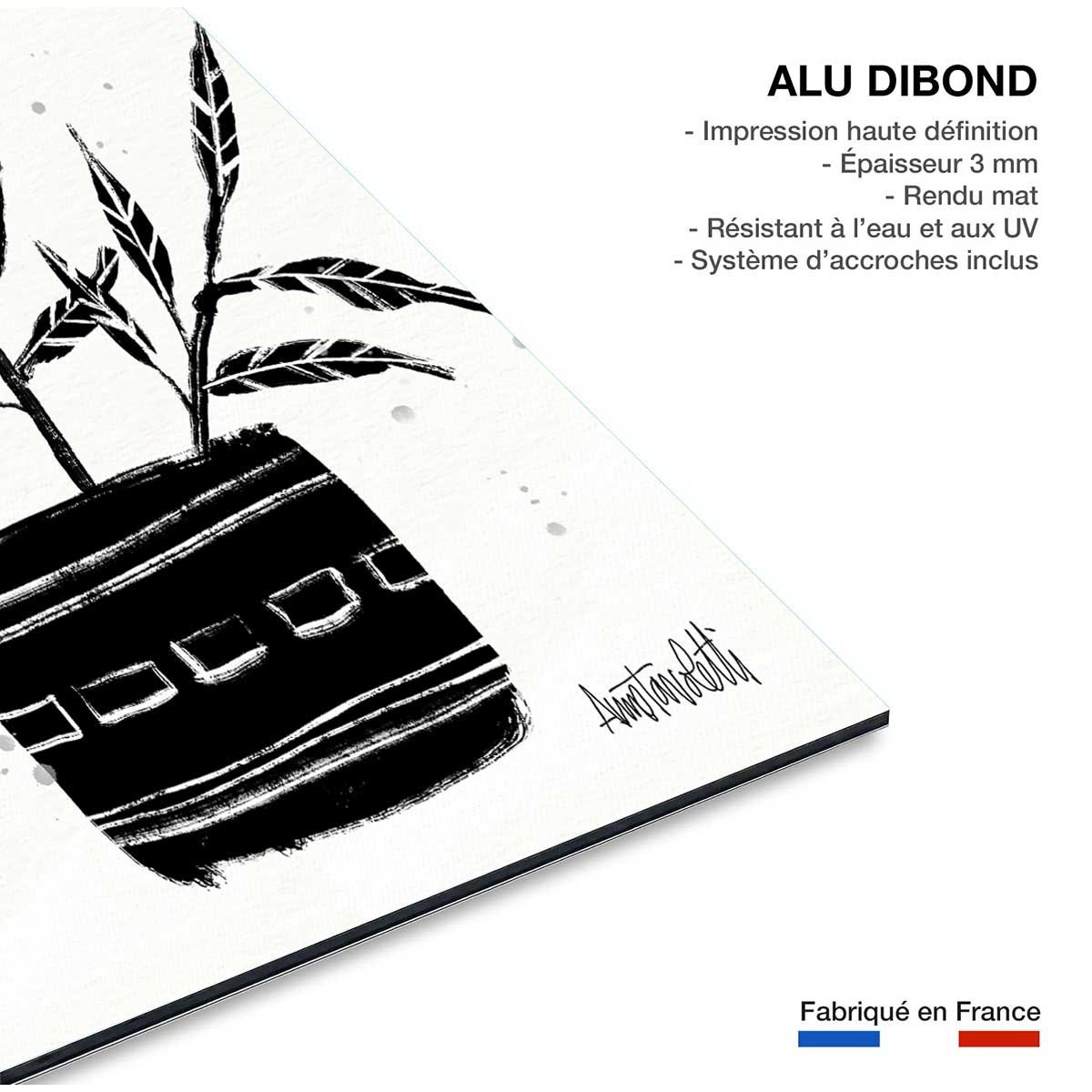 Tableau Botanique et Poterie tableau alu dibond, HEXOA