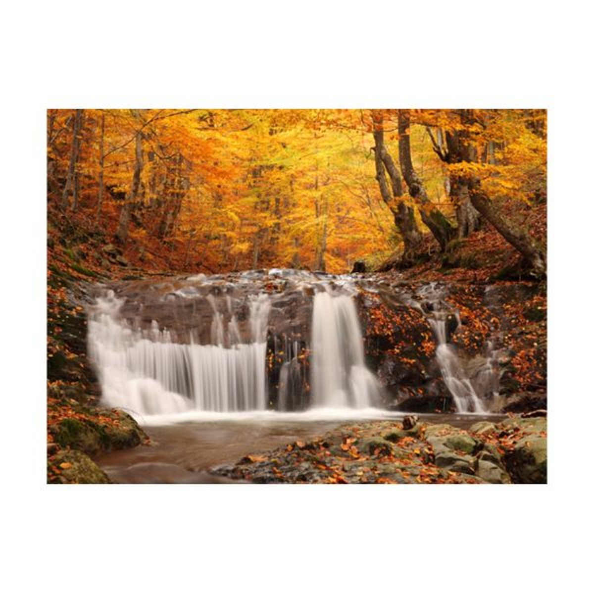 Papier peint intissé panoramique Paysage Autumn landscape : waterfall in forest orange / cuivré, EDEN