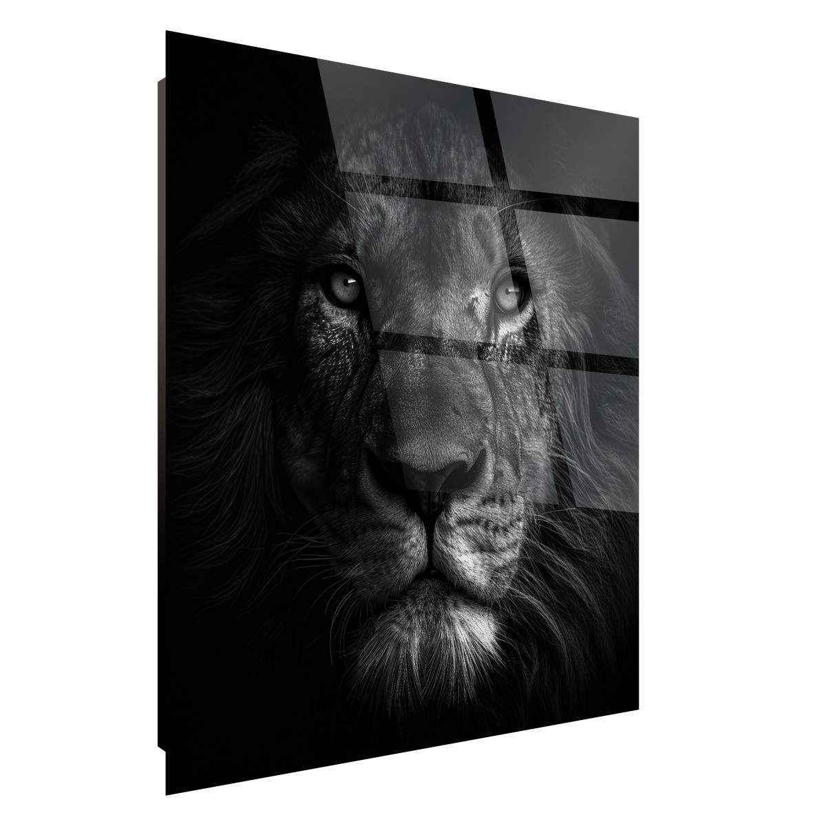 Tableau Sur Verre Synthétique Visage Du Lion ANIMAUX tableau en verre synthétique, CEANOTHE