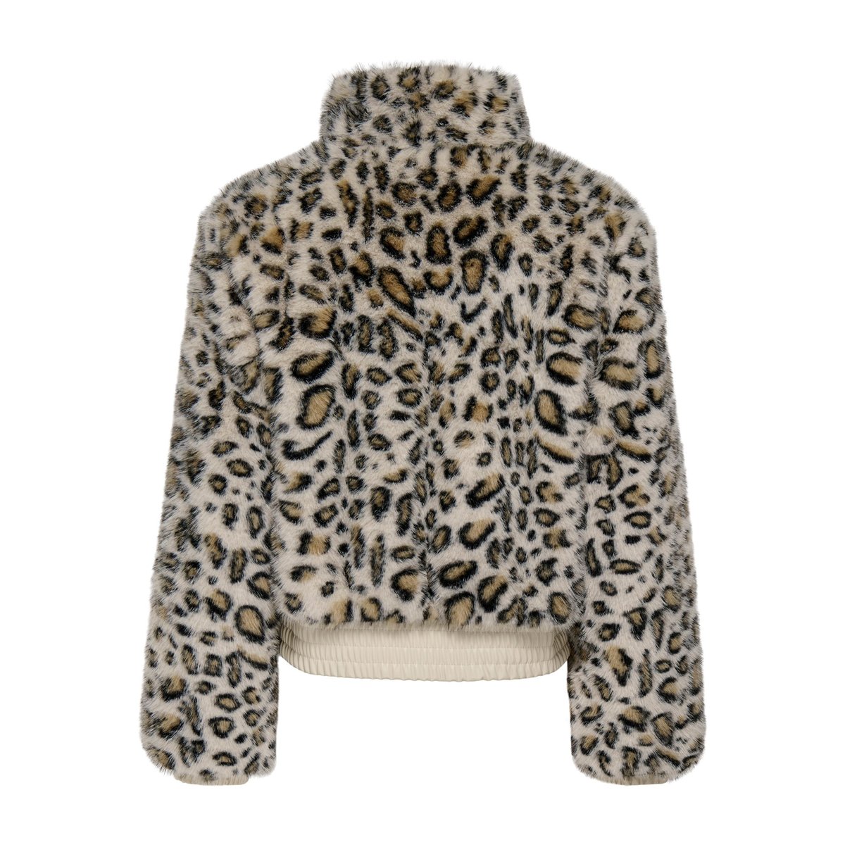 Veste island fossil, ONLY