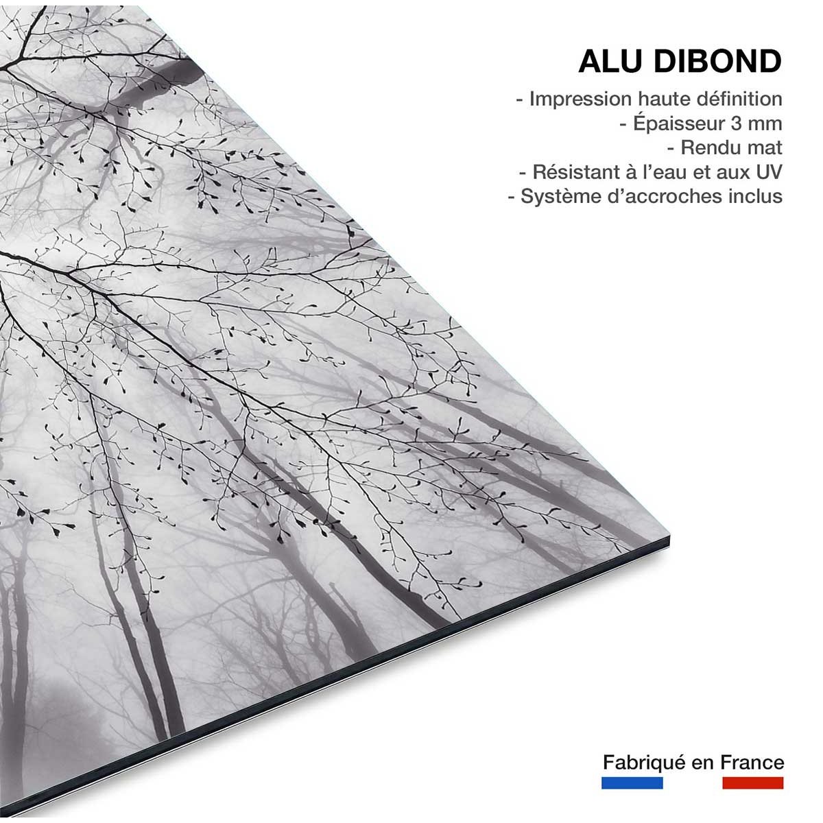 Tableau nature canopée tableau alu dibond, HEXOA