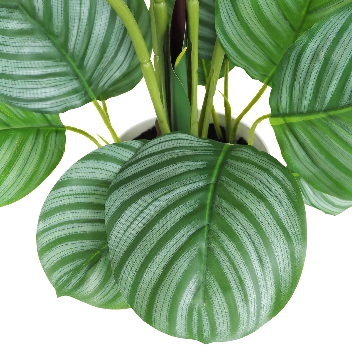 Plante verte calathea artificiel 75cm vert, LIGNE DECO