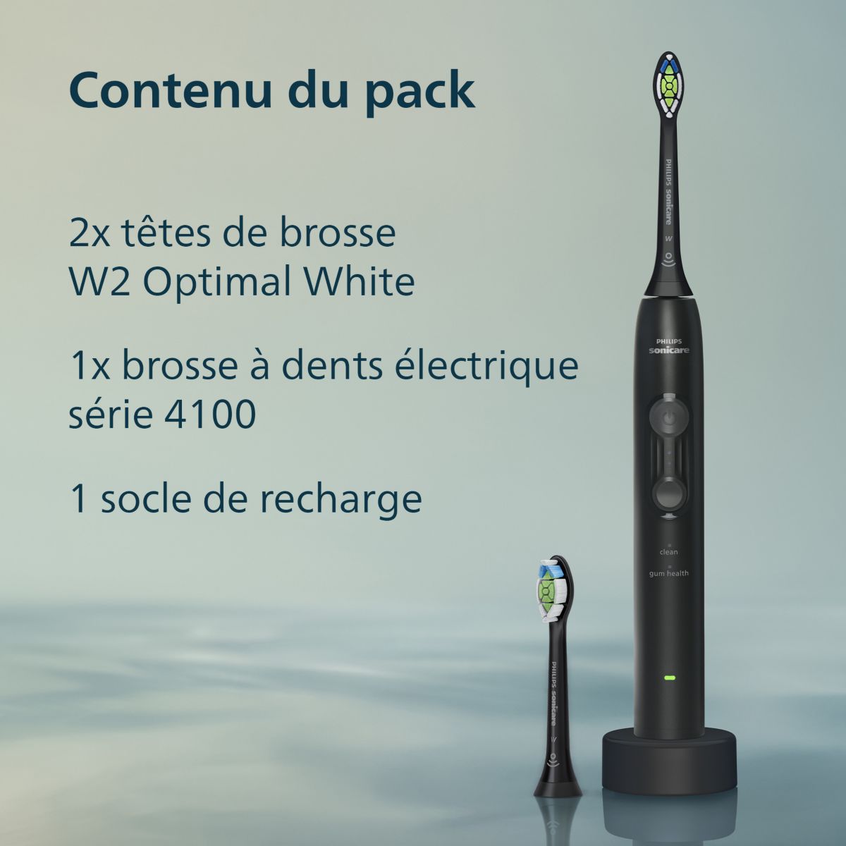 Brosse à dents électrique HX4042/52 Serie 4100 Noire couleur unique, PHILIPS