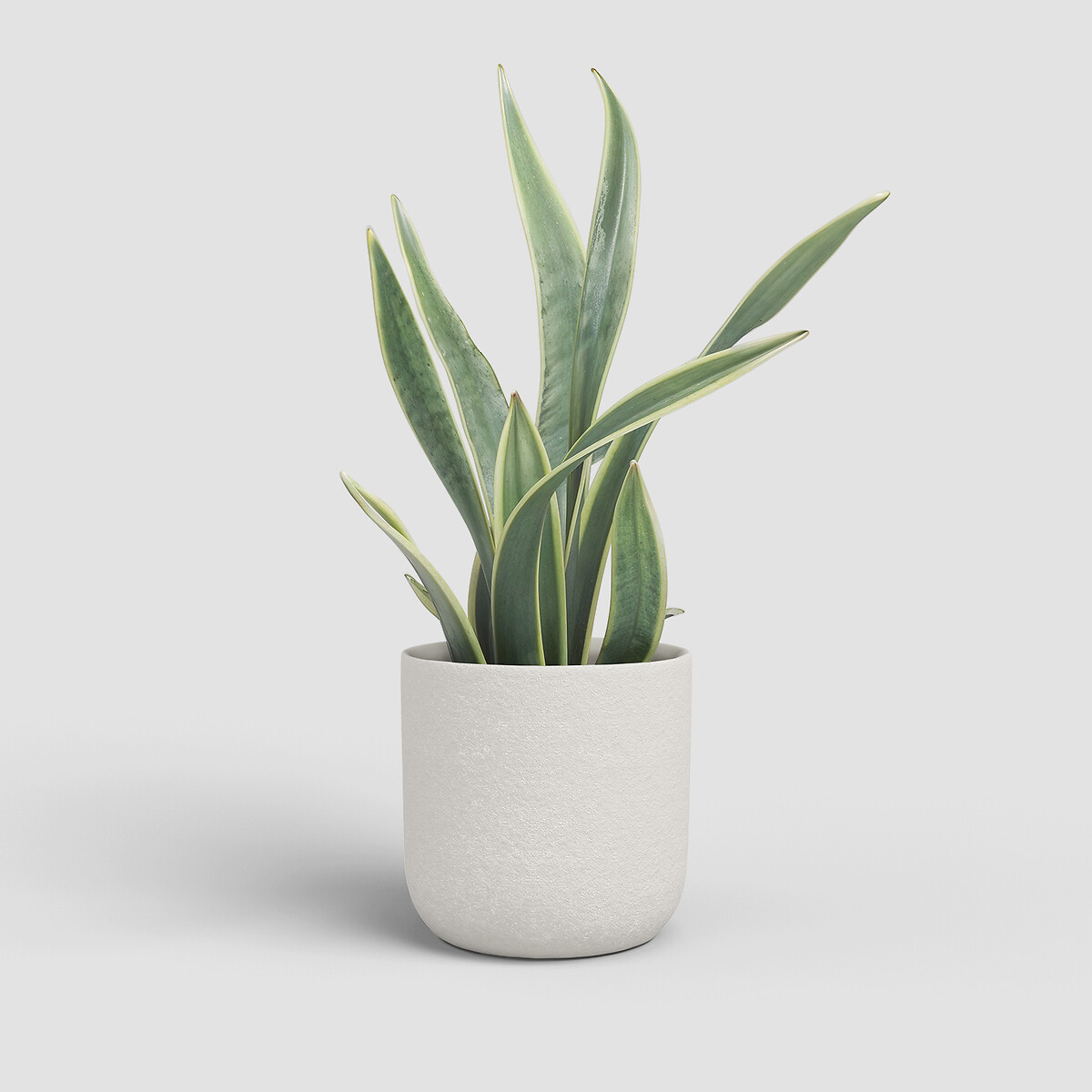 Vaso Atlas 29, ARTEVASI creme, ARTEVASI
