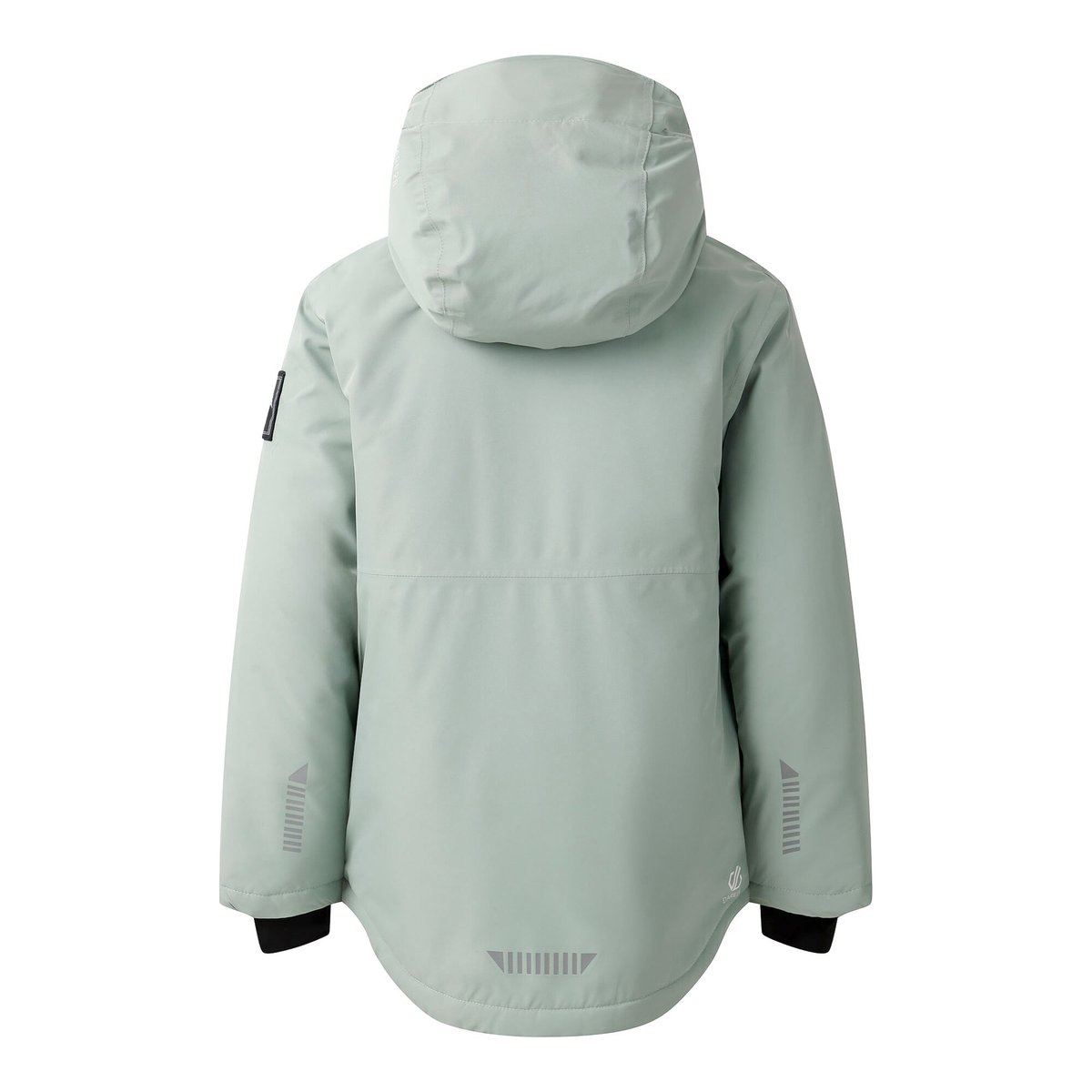 Blouson de ski FREEHAND vert glacier, DARE 2B