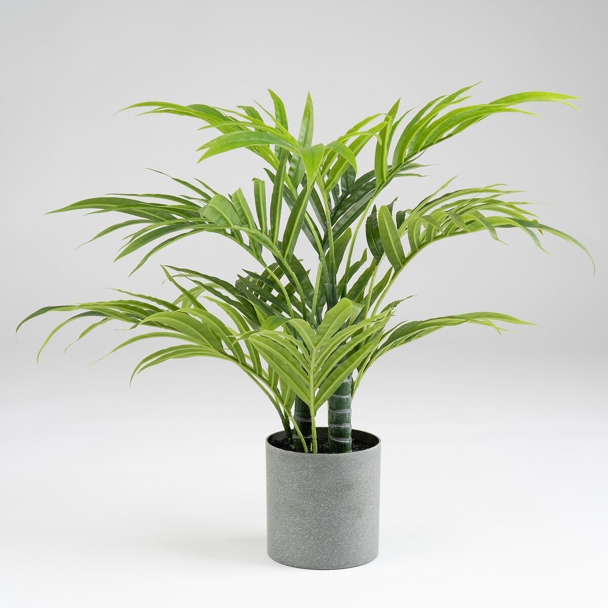 60cm Palm Tree green, SO'HOME