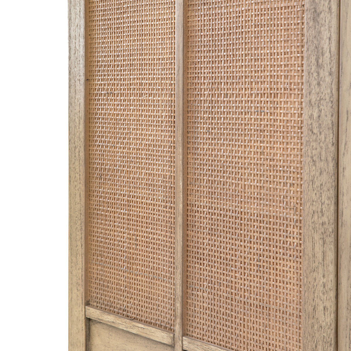 Bharhut Japandi Panelled Rattan 2 Door Cupboard wood, ÉDITÉ