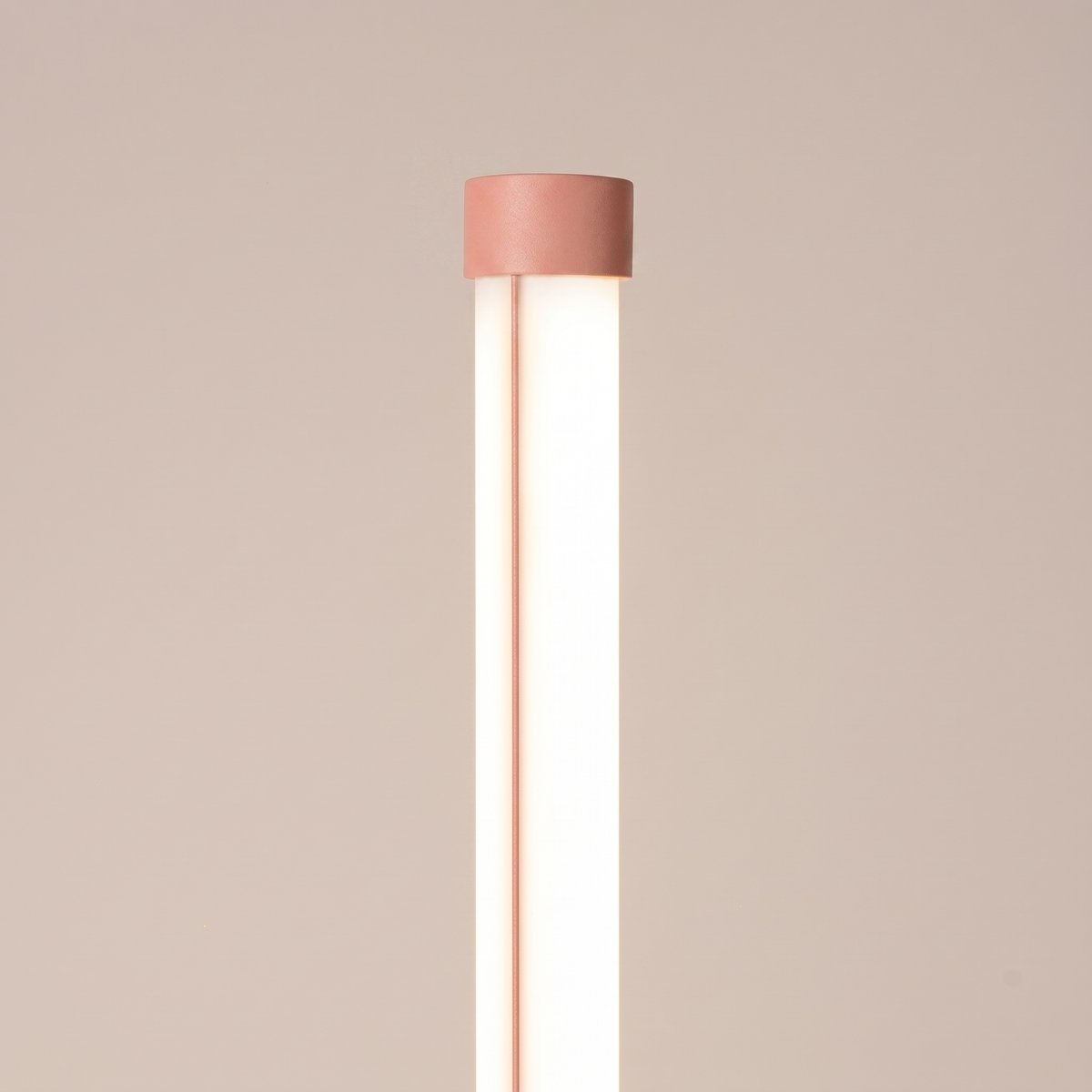 Lampadaire Pêche LED 1 Trang pêche, EDEN