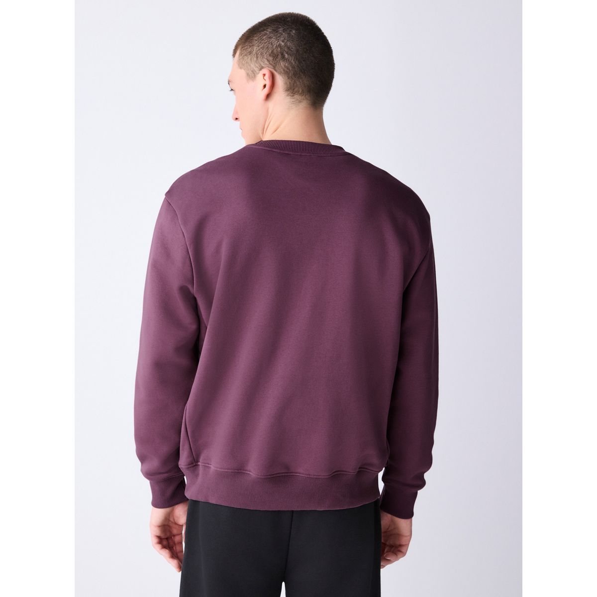 Sweat ras du cou épais en coton majoritaire prune, NEXT