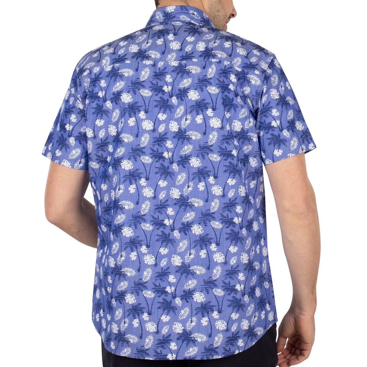 Chemise manches courtes isola blu blue, SHILTON