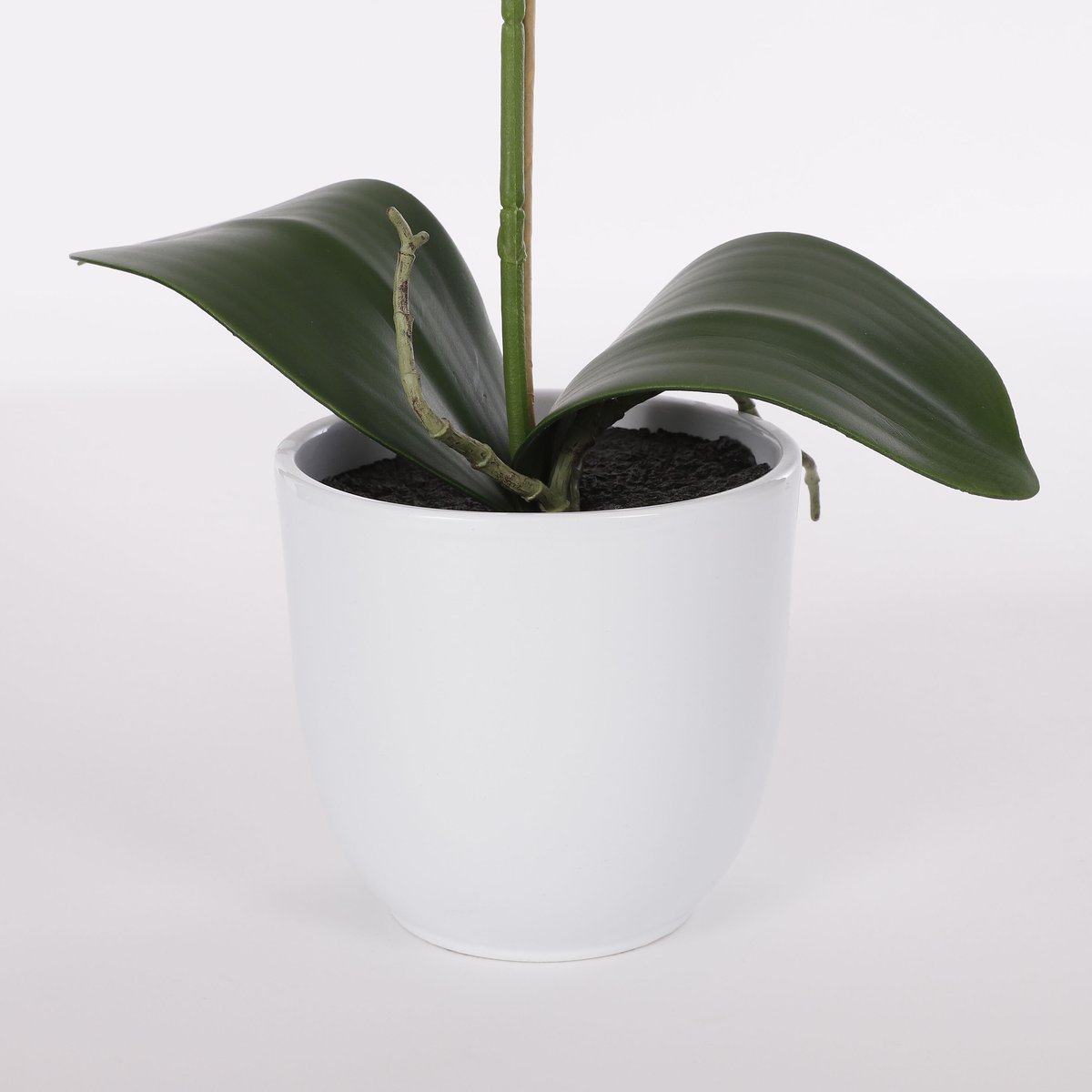 Plante artificielle PHALAENOPSIS violet, MICA DECORATIONS