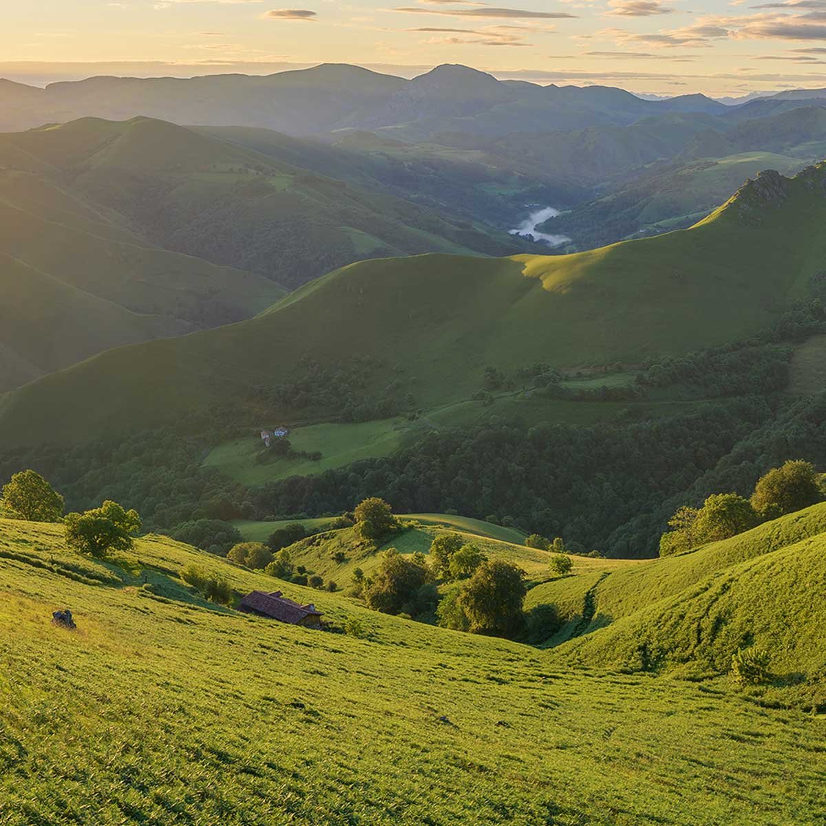 Tableau panoramique collines vertes coucher de soleil toile imprimée, HEXOA