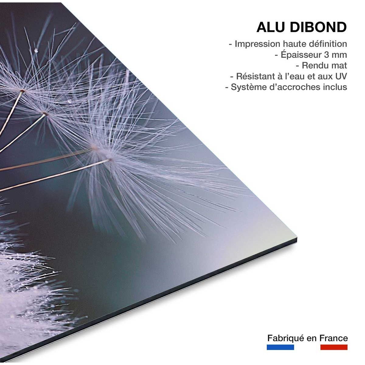 Tableau fleurs dandelion seeds tableau alu dibond, HEXOA