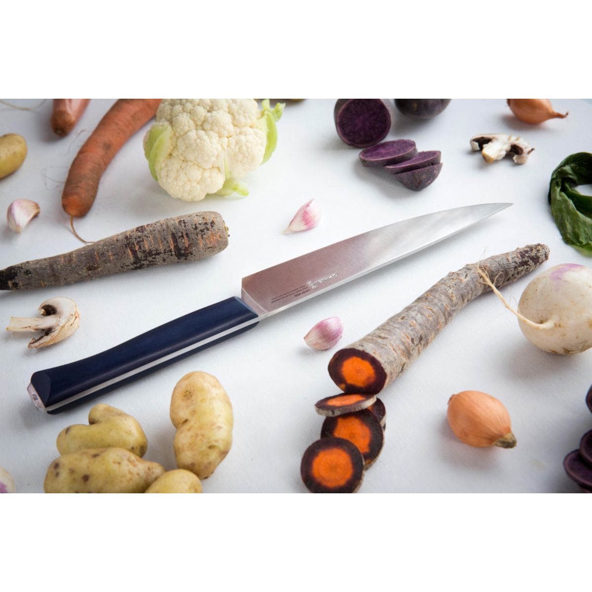 Couteau Chef Intempora No218 coloris unique, OPINEL