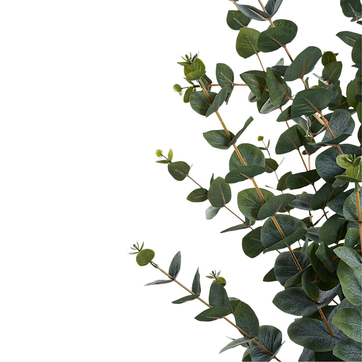 Eucalyptus artificiel en pot vert, PIER IMPORT